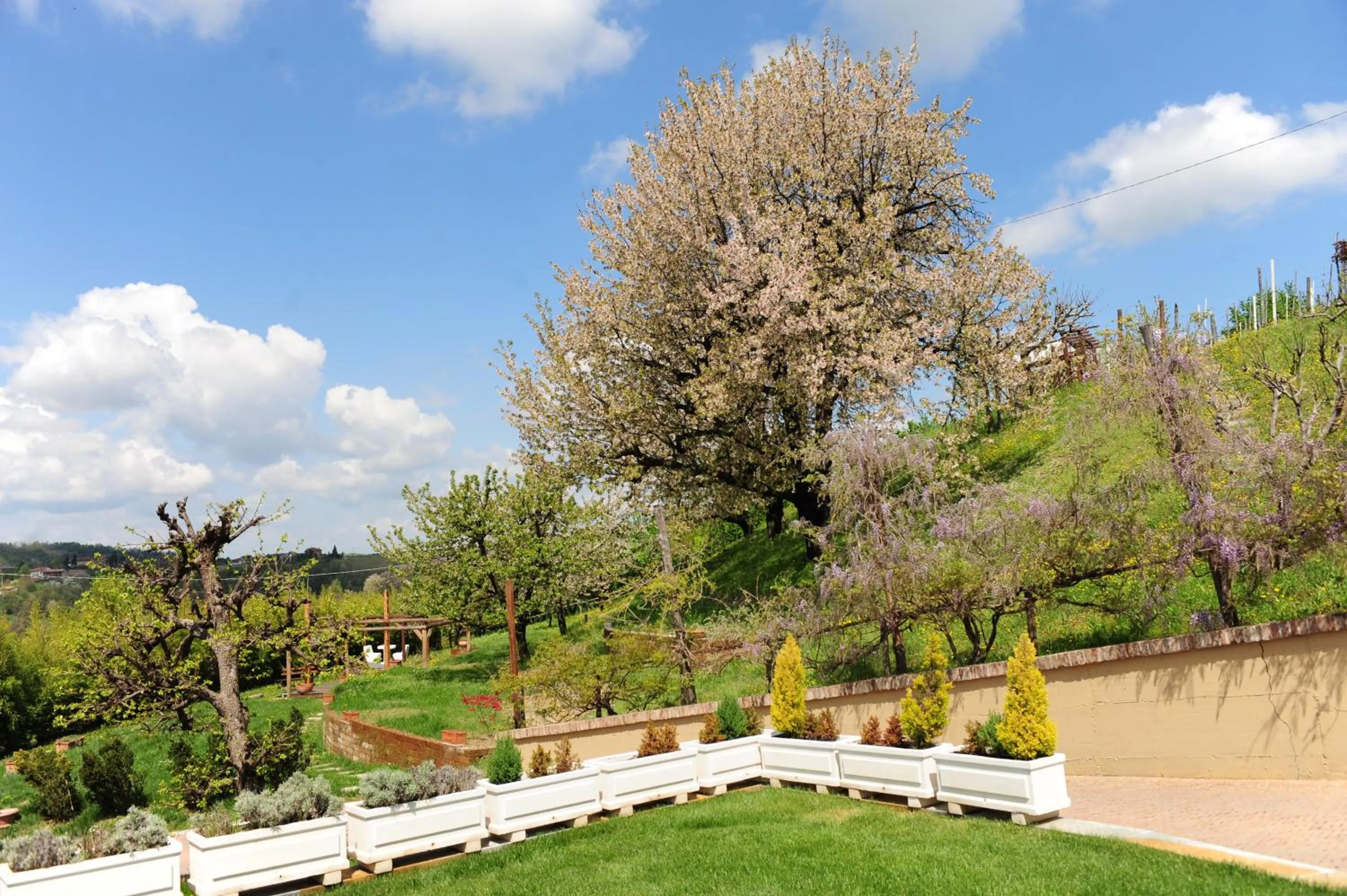 Garden in La Madernassa Resort - Casalora Dimora Storica di Charme