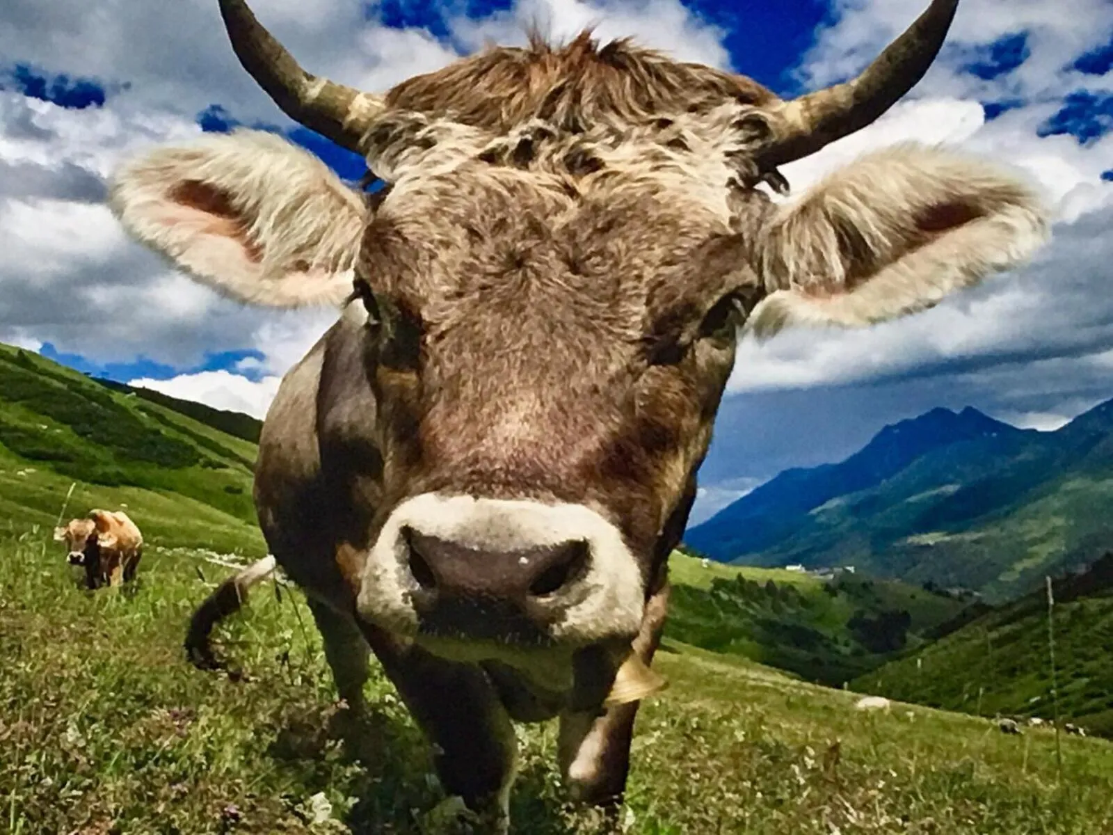 Hiking in Arlberg Lodges