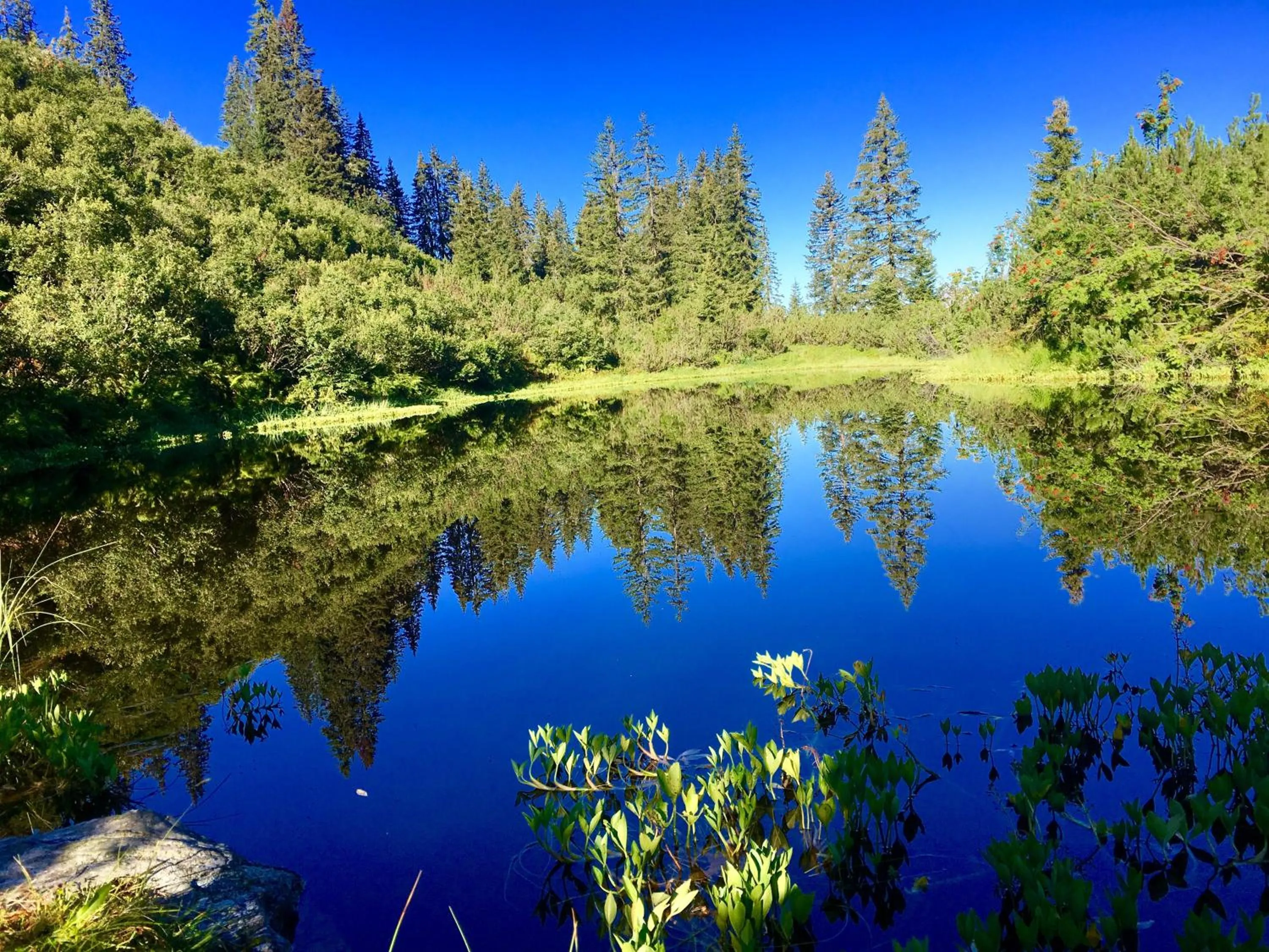 Fishing in Arlberg Lodges