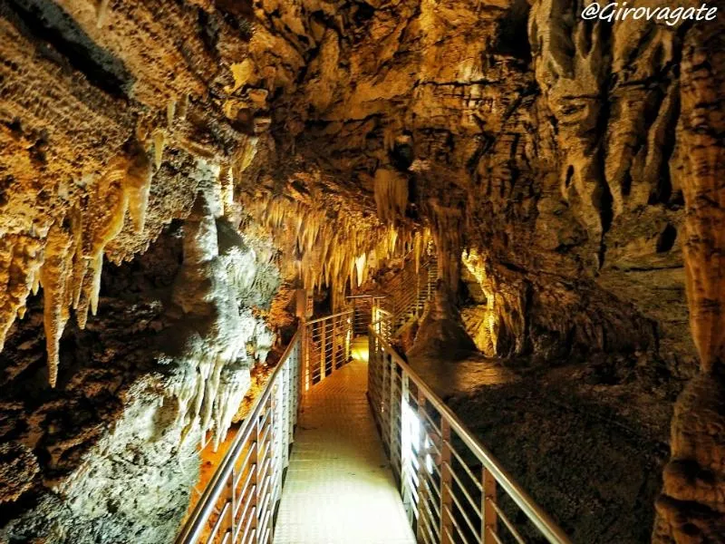 Natural landscape in Hotel Coluccini