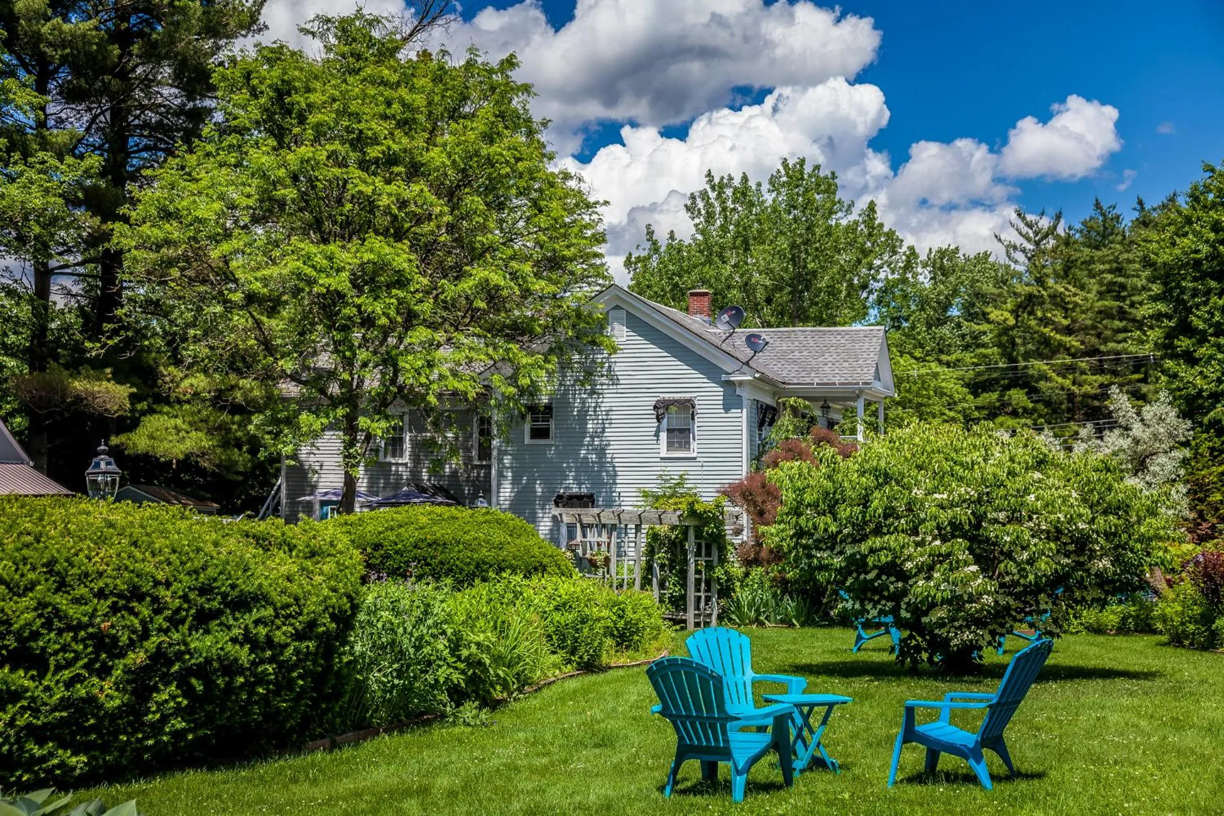 Garden view in Maple Terrace Motel