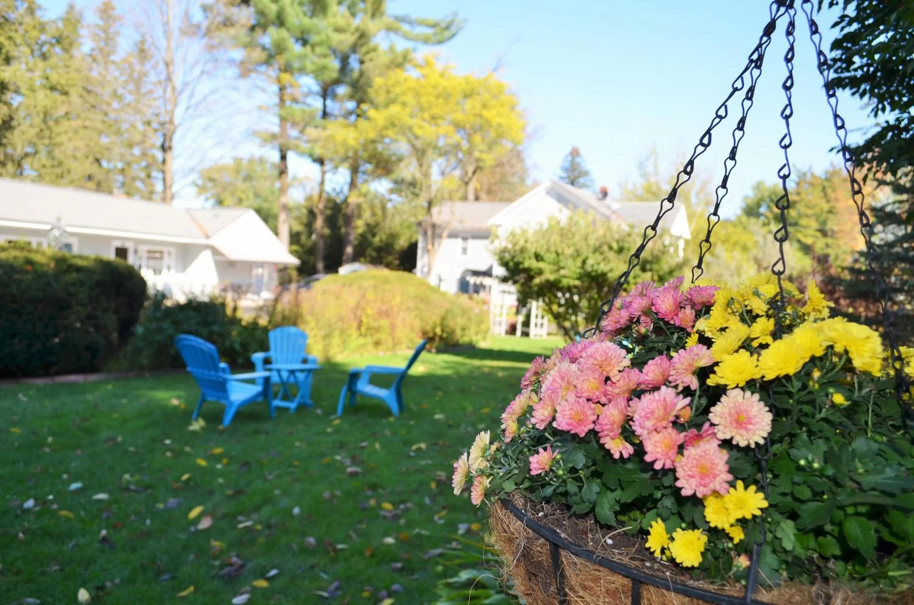 Decorative detail in Maple Terrace Motel