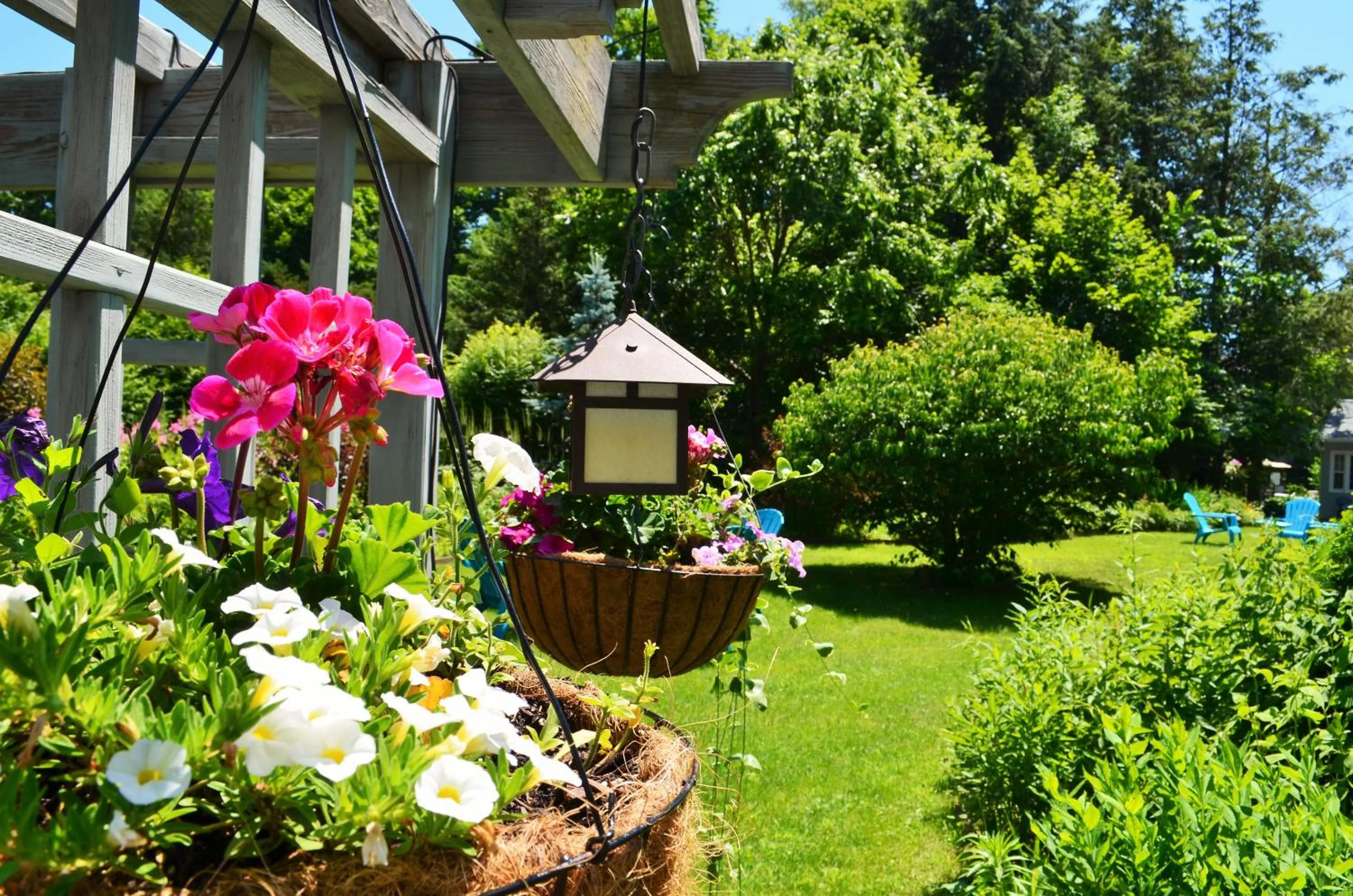 Garden view in Maple Terrace Motel