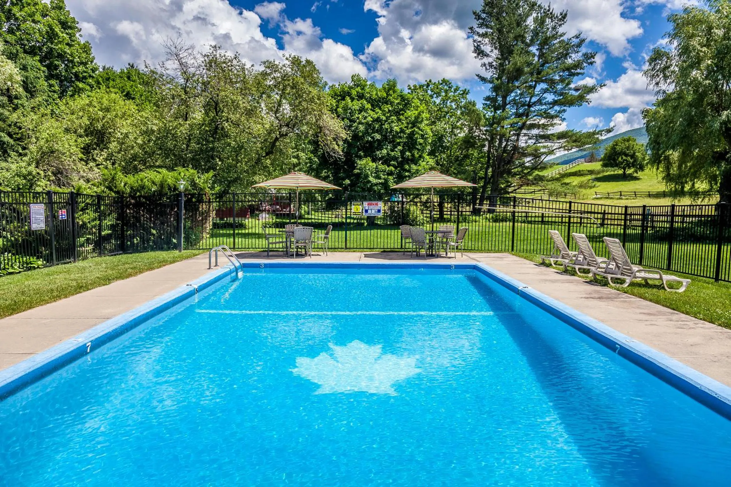 Swimming pool in Maple Terrace Motel
