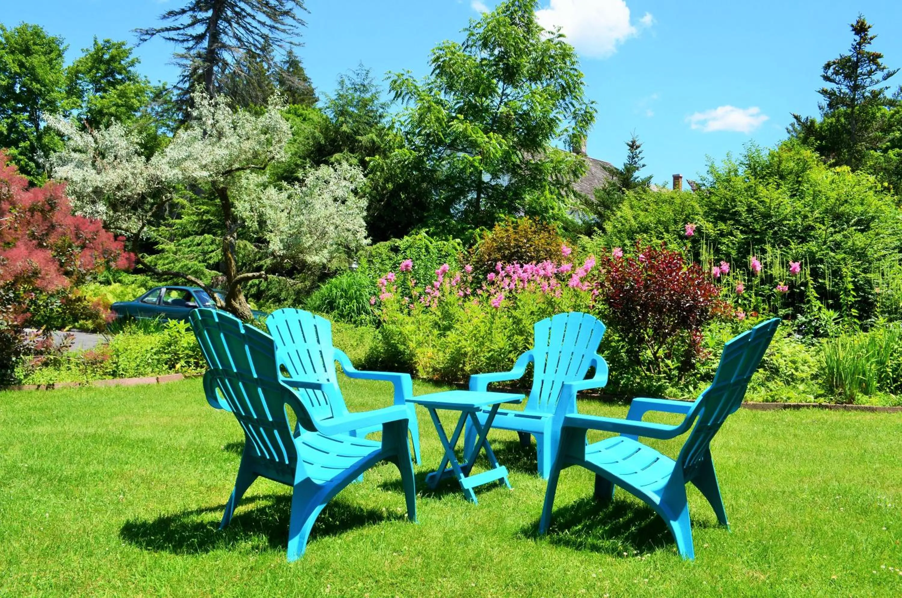 Garden in Maple Terrace Motel