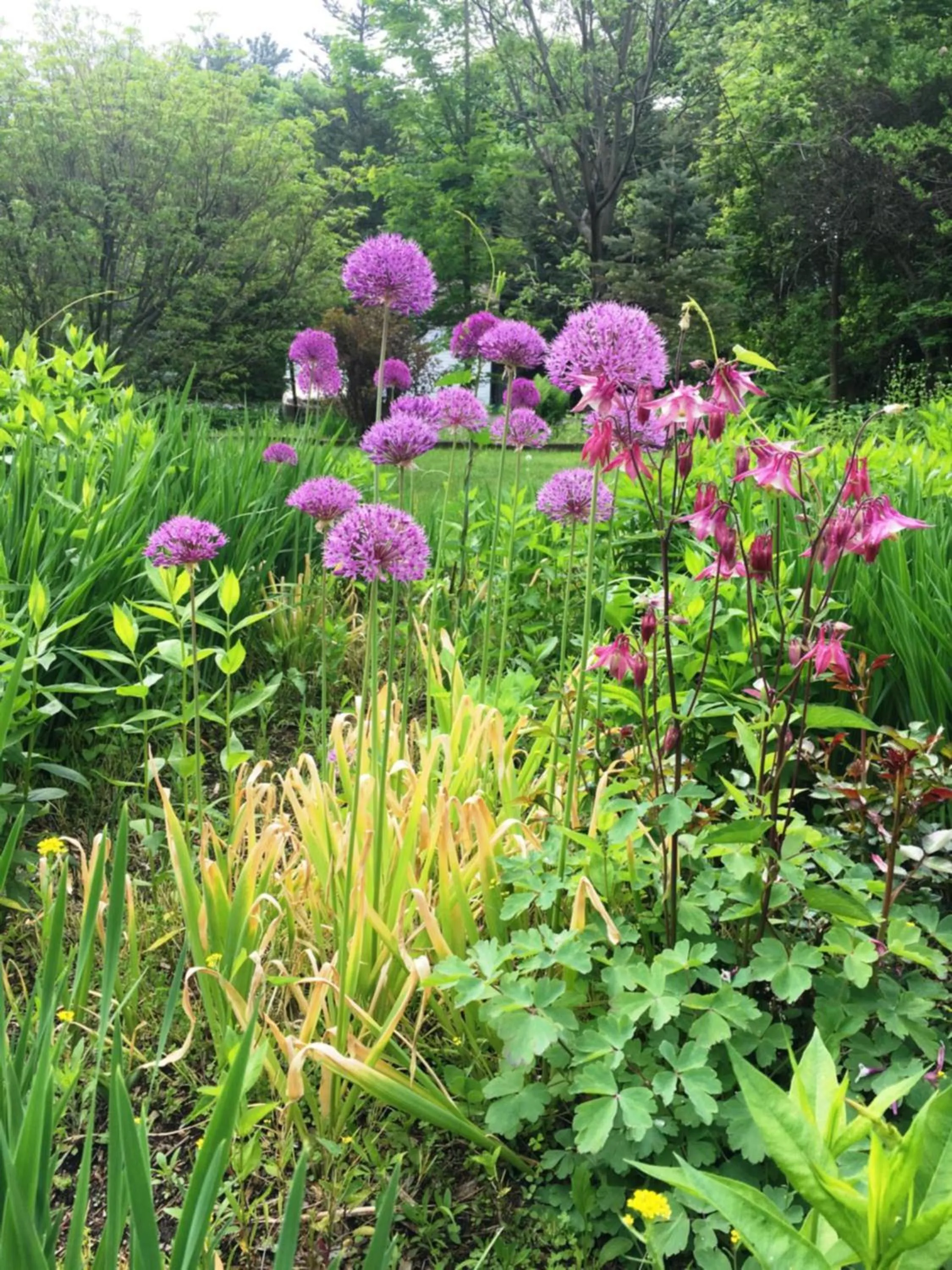 Property building in Maple Terrace Motel
