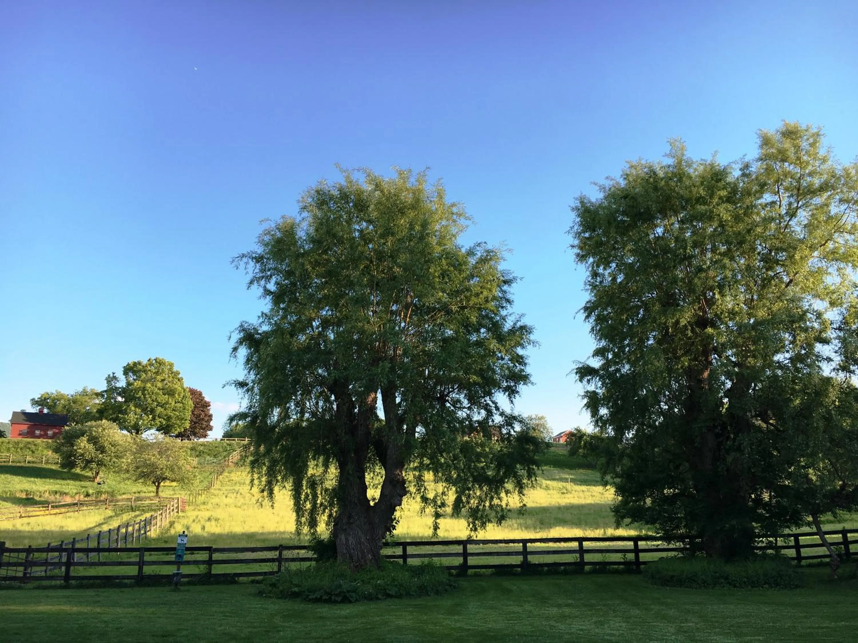 Mountain view in Maple Terrace Motel