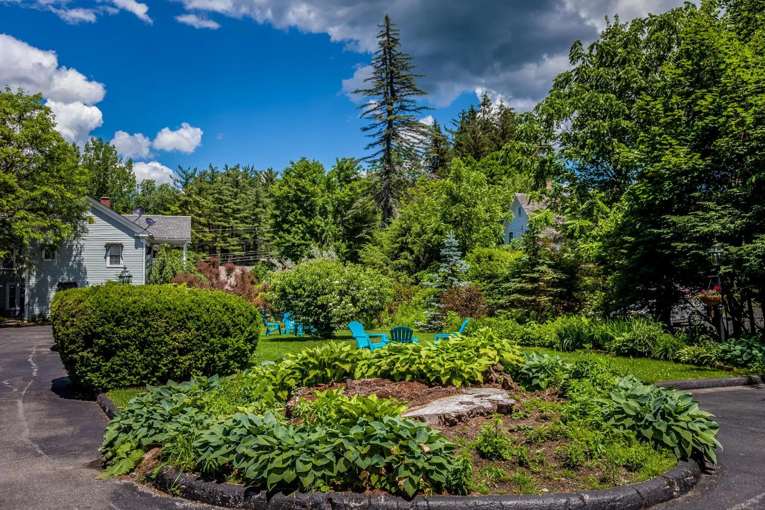 Garden view in Maple Terrace Motel