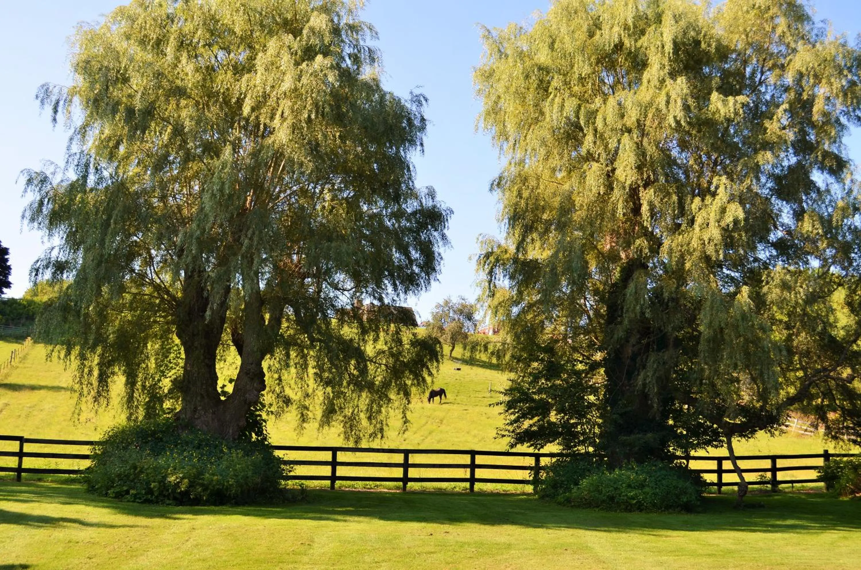 Children play ground in Maple Terrace Motel