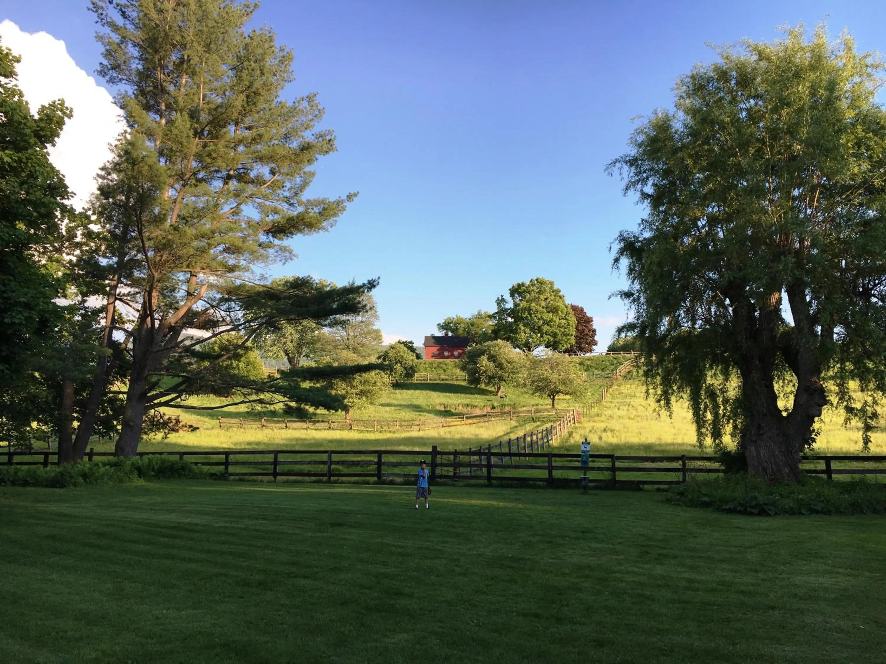Garden view in Maple Terrace Motel
