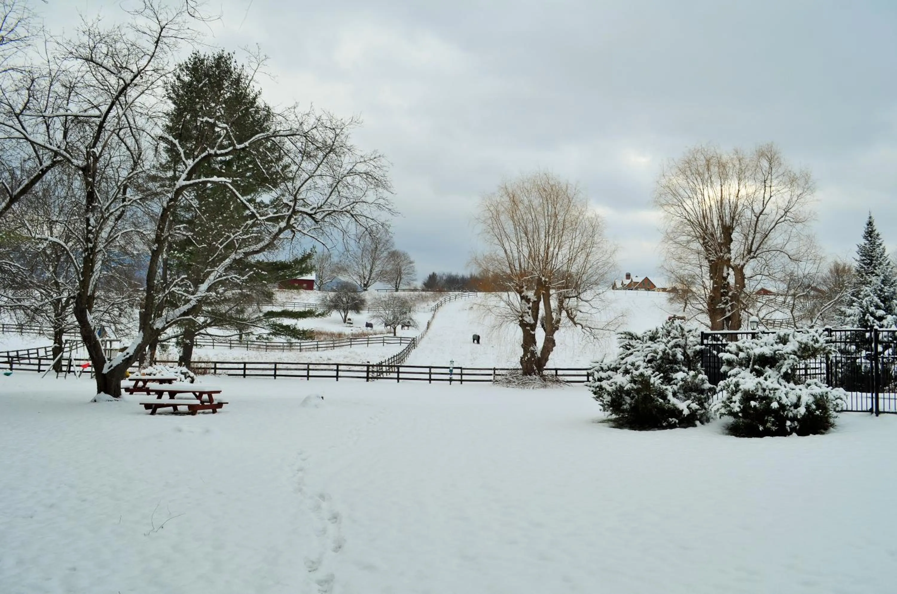 Winter in Maple Terrace Motel