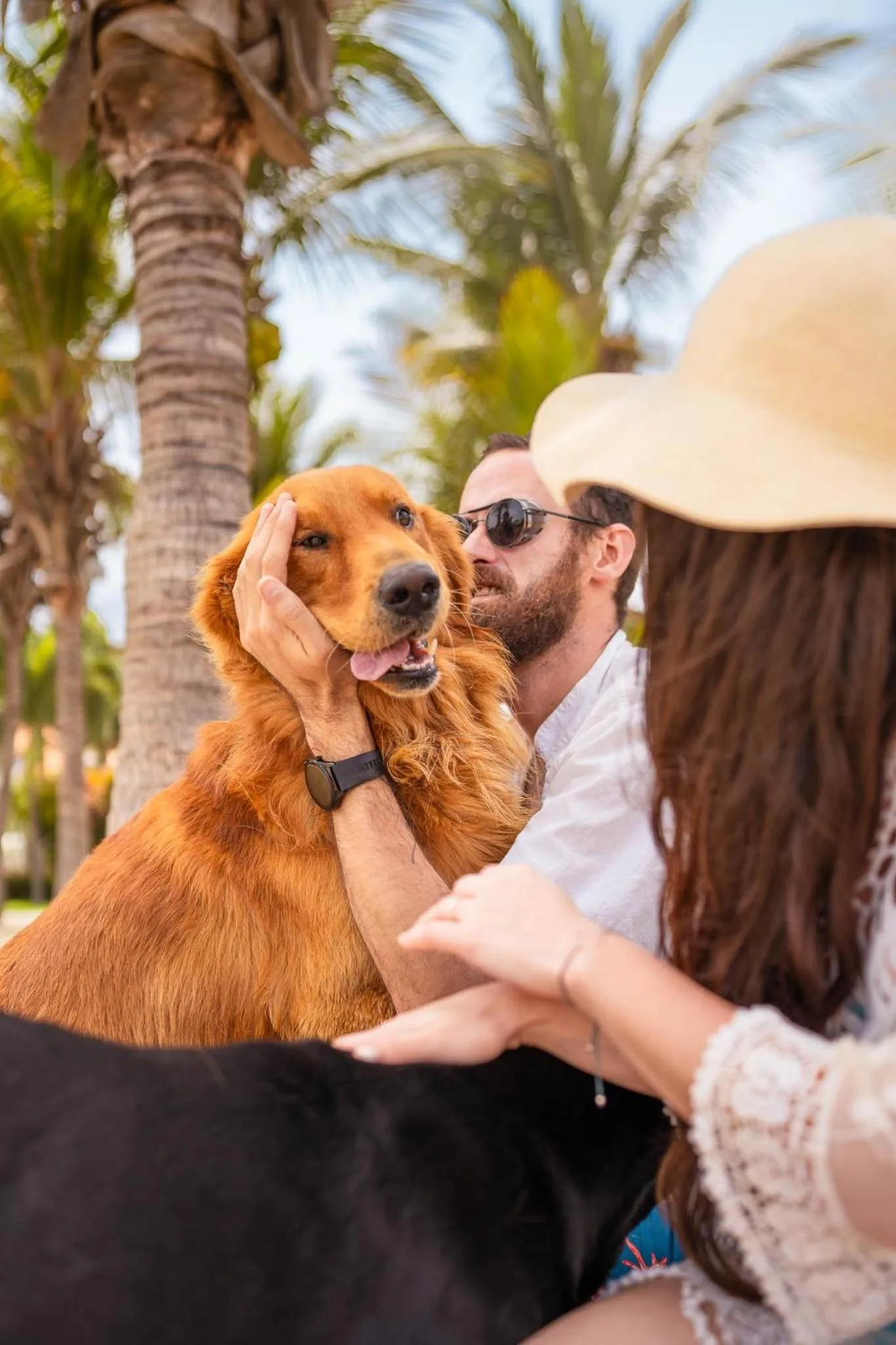 Pets in Casa Andina Select Zorritos Tumbes