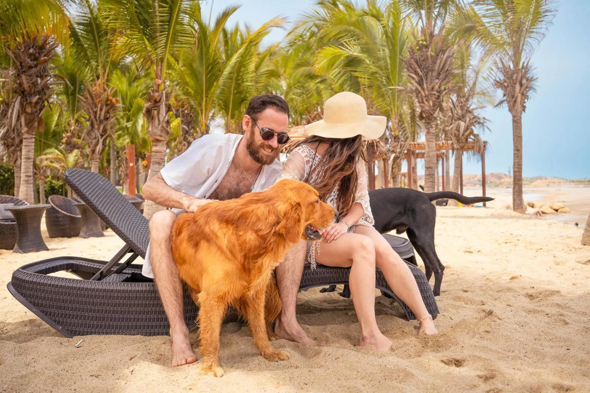 Pets in Casa Andina Select Zorritos Tumbes