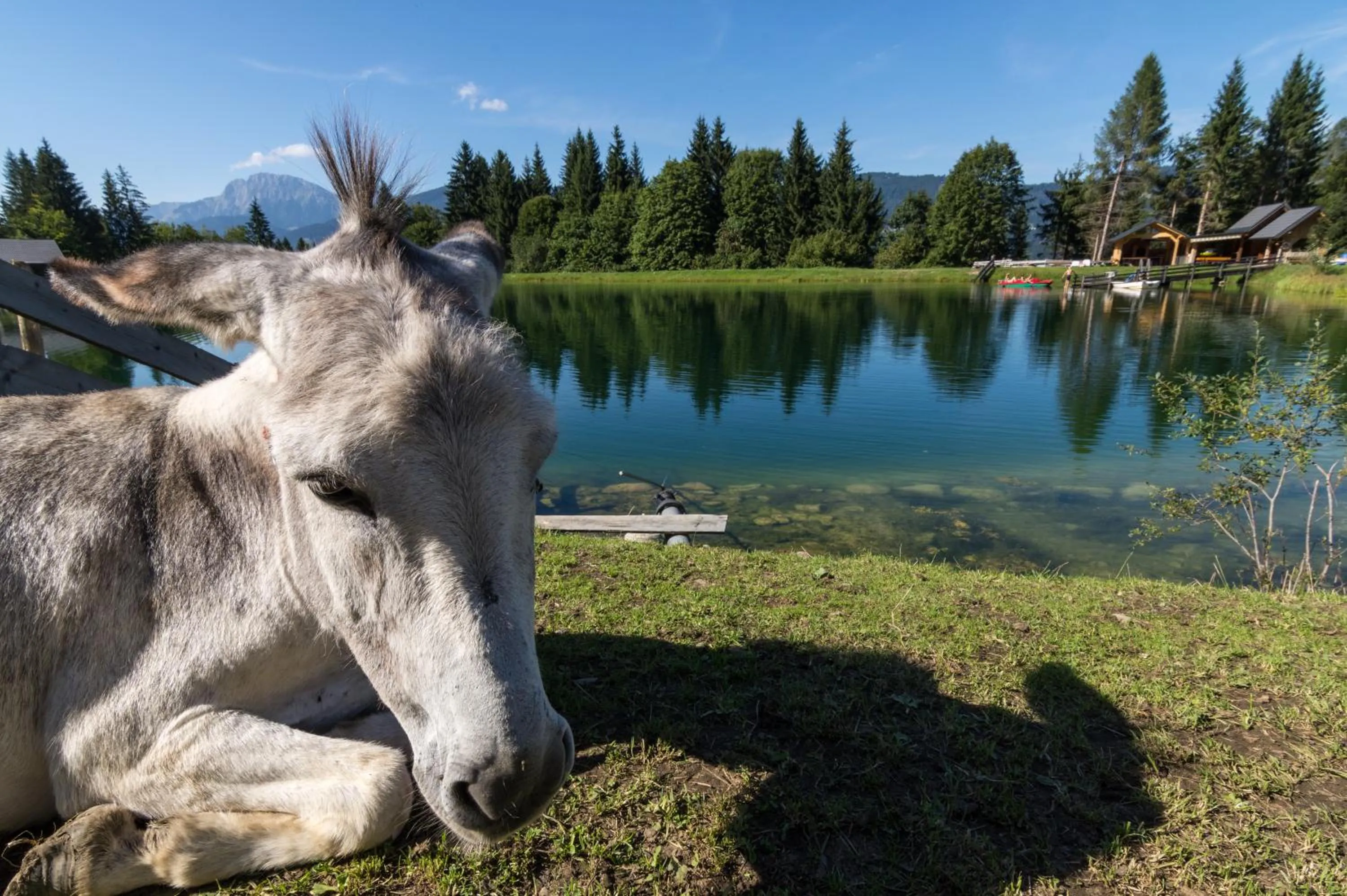 Beach in Aparthotel Ederhof