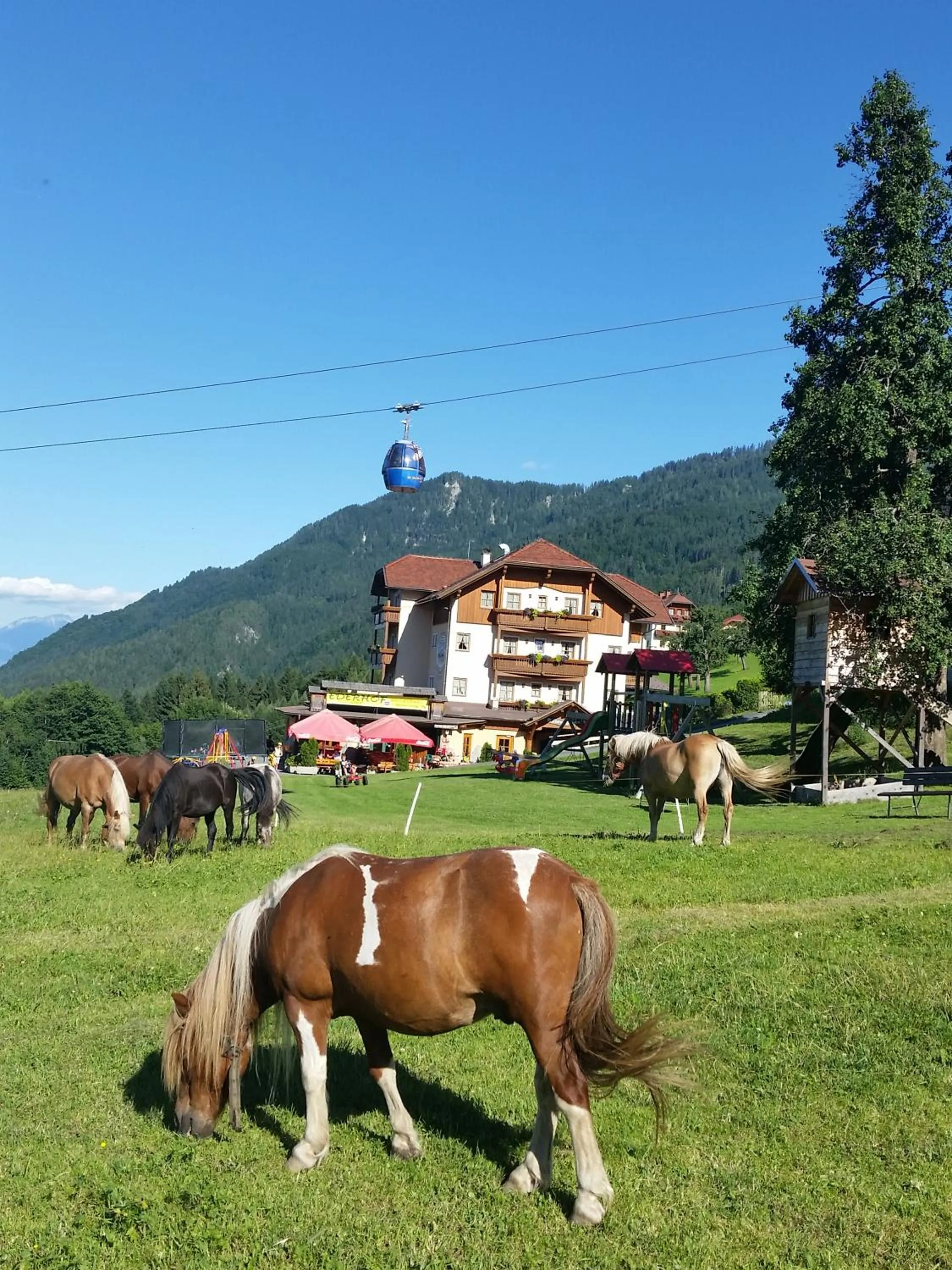 Property building in Aparthotel Ederhof