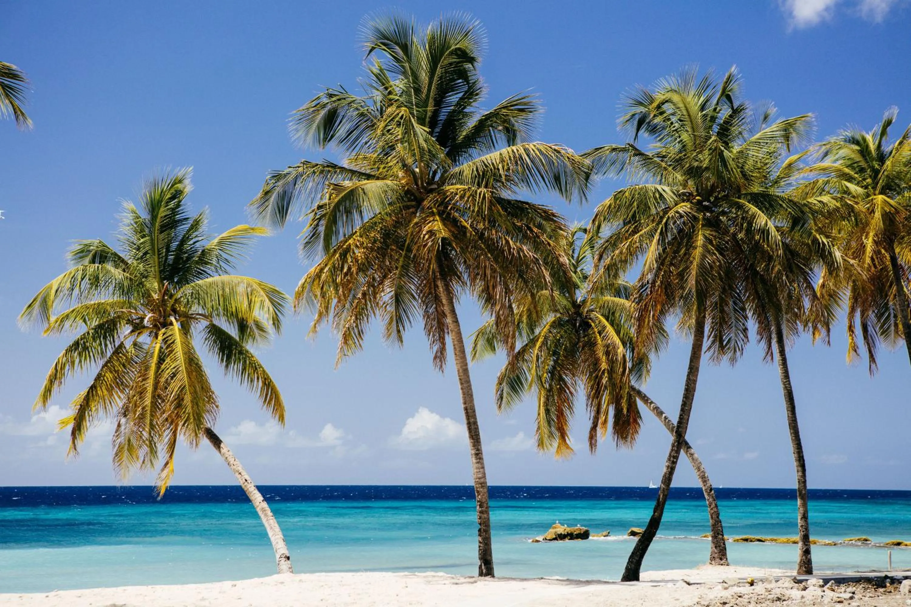 Natural landscape in The Liming Bequia