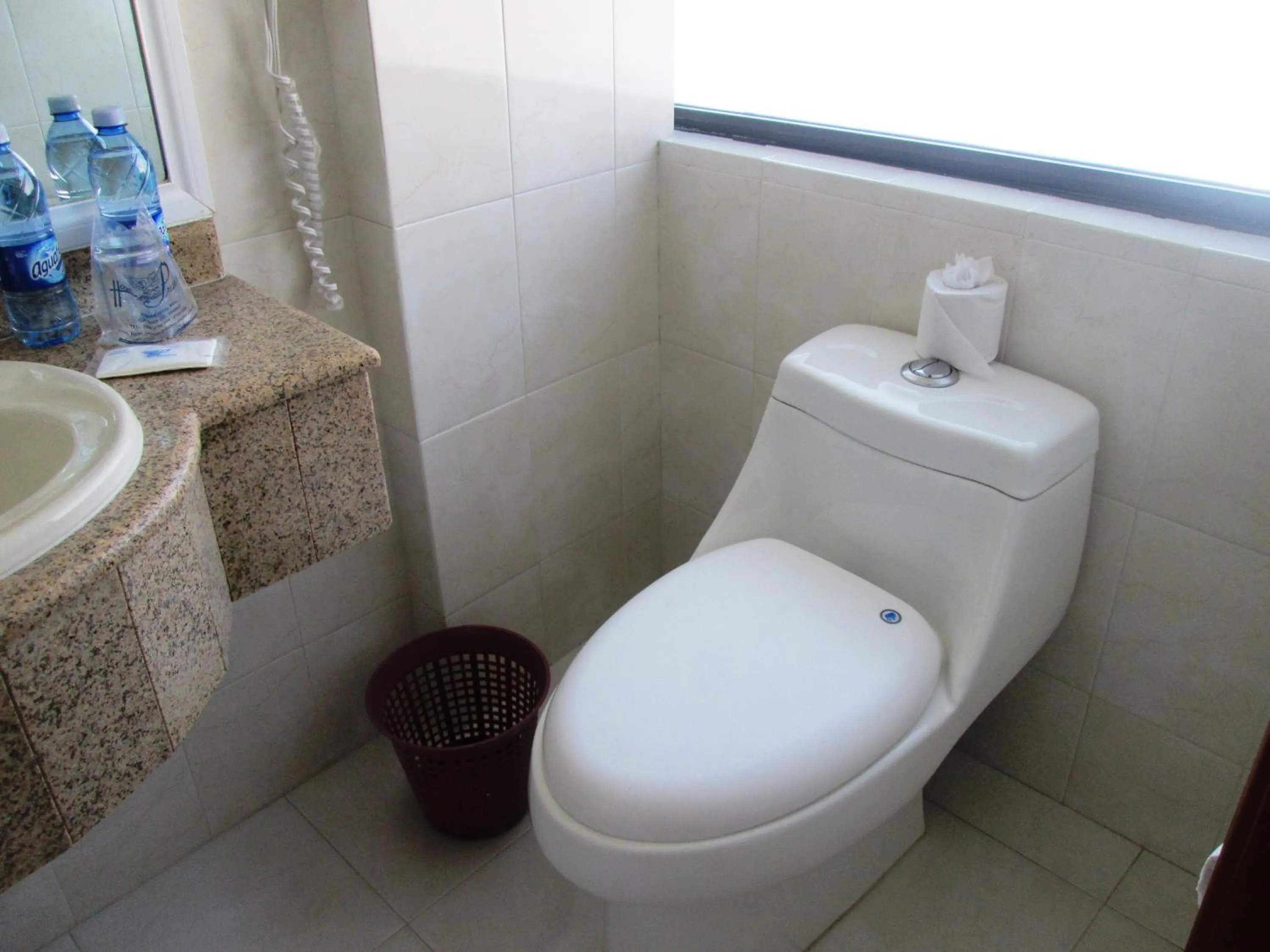 Bathroom in Hotel Premier