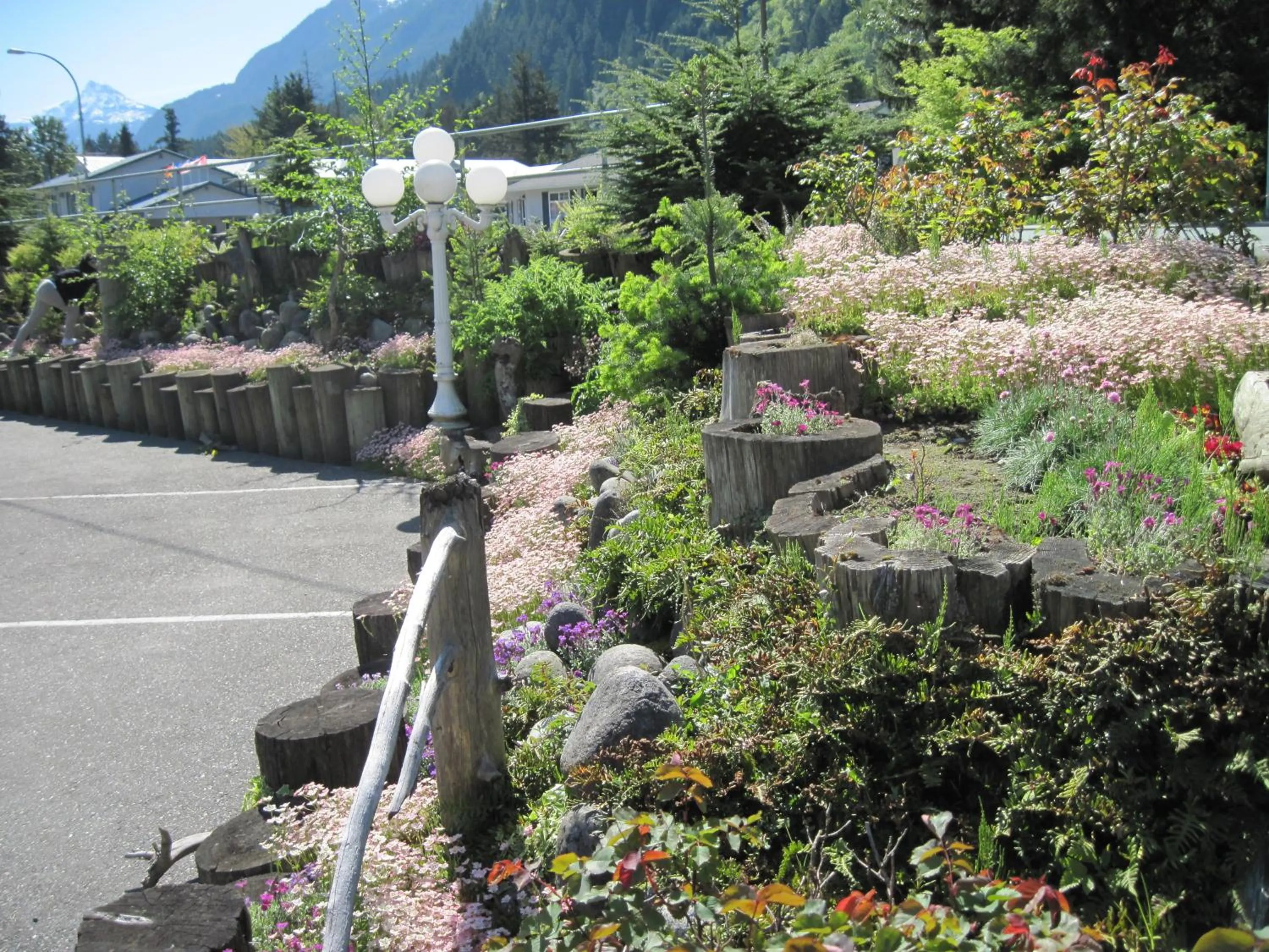 Garden view in Alpine Motel