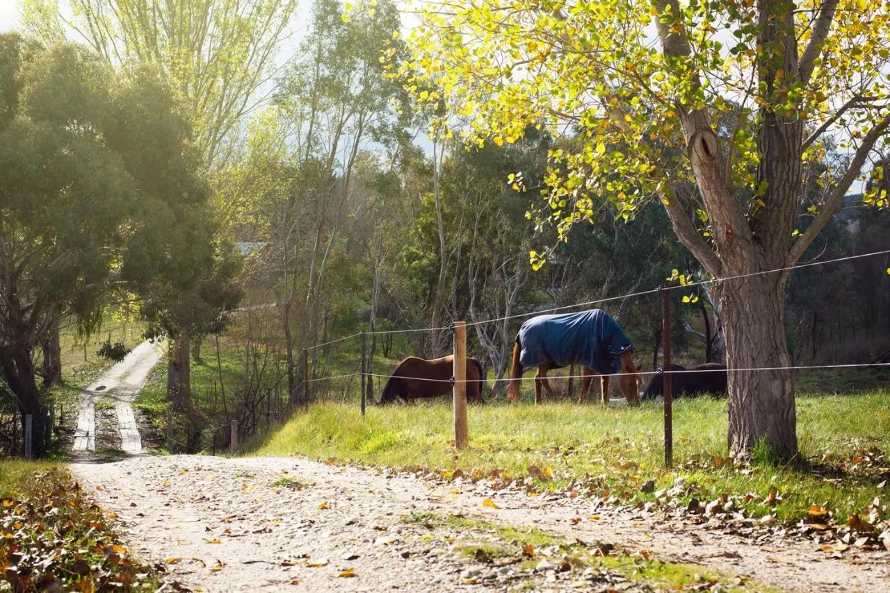 Colby Cottages, Wooragee near Beechworth