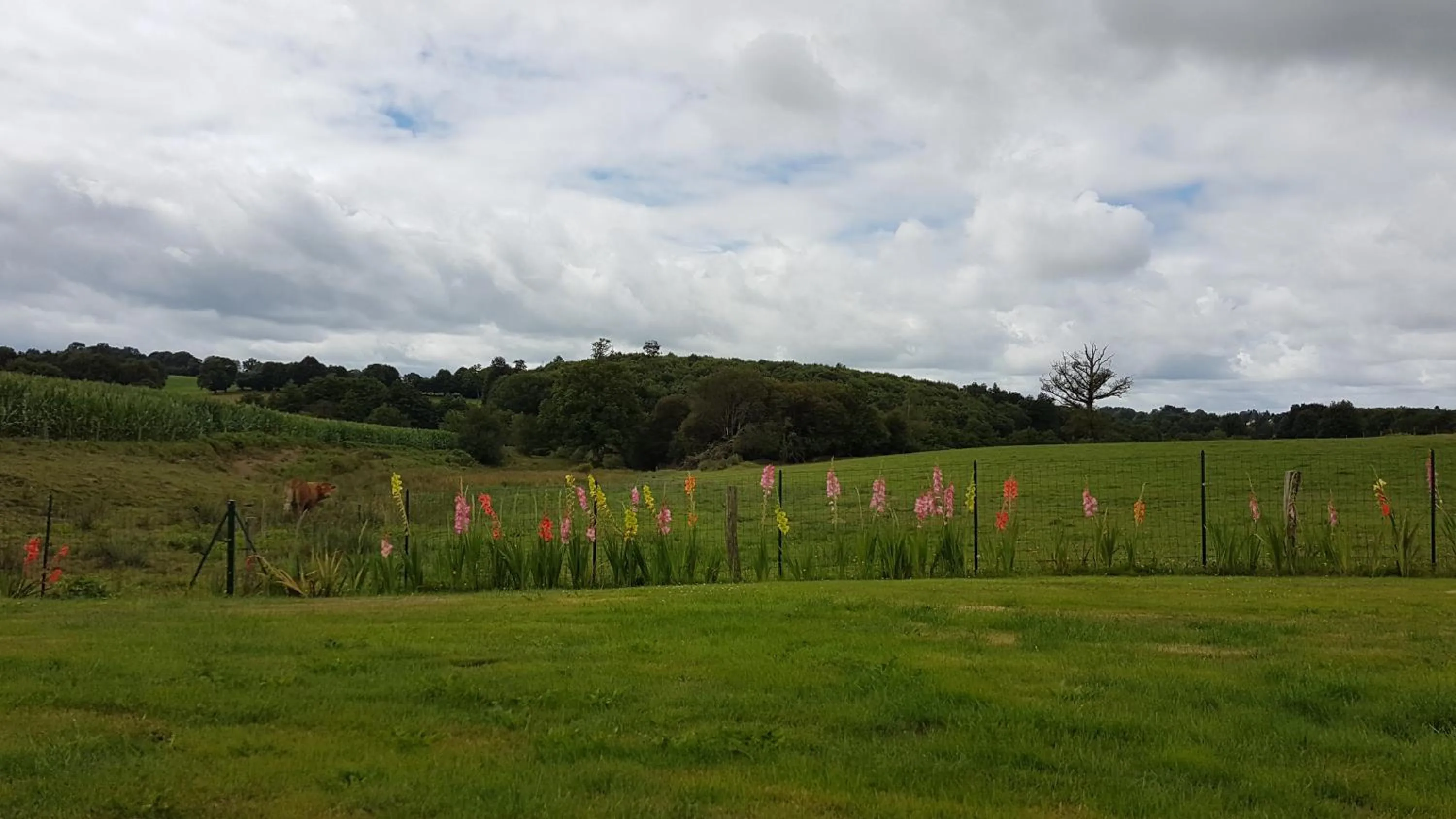 Property building in La THIBAUDIERE Tilleul