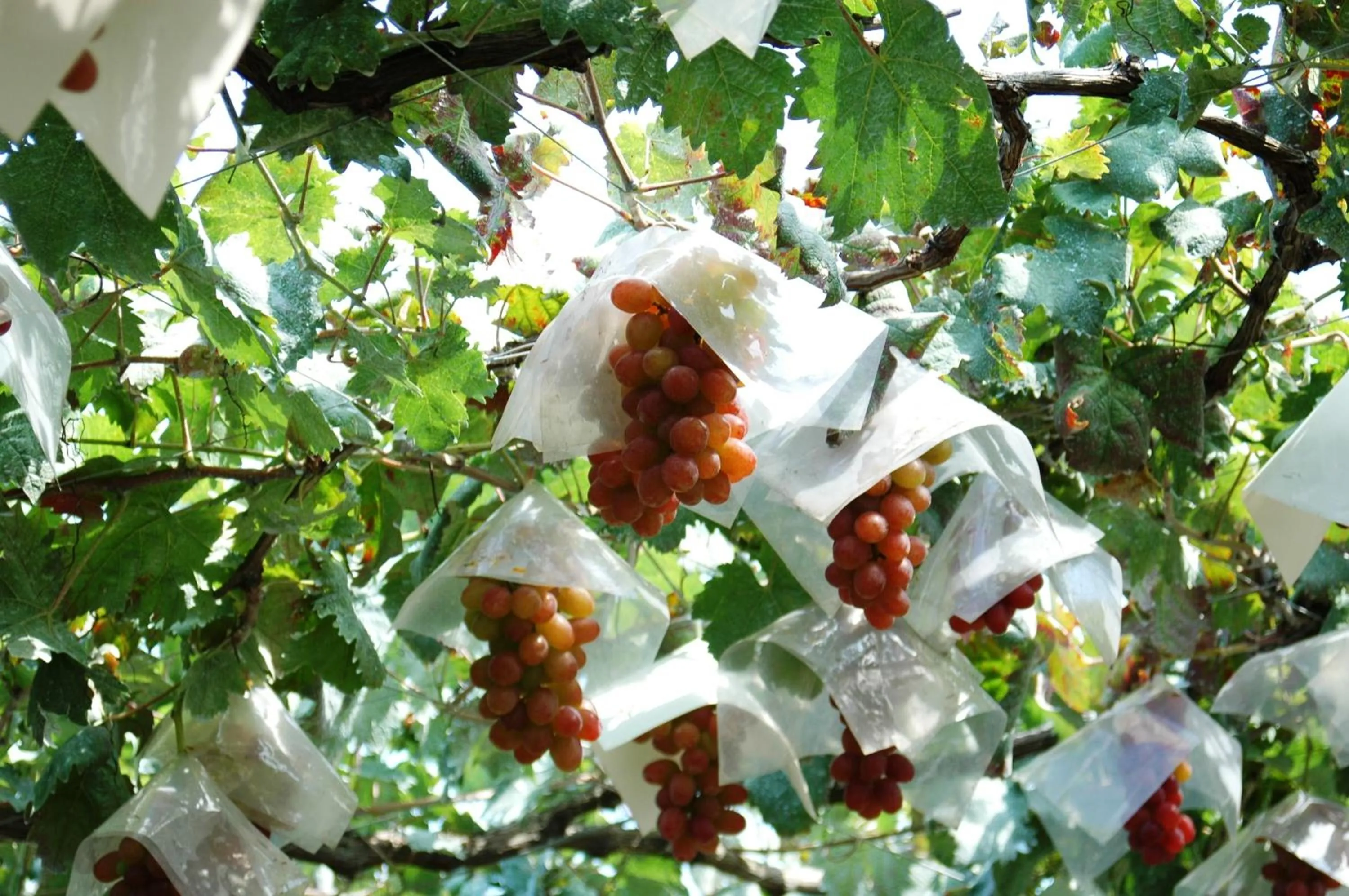 Off site in Hotel Hatta