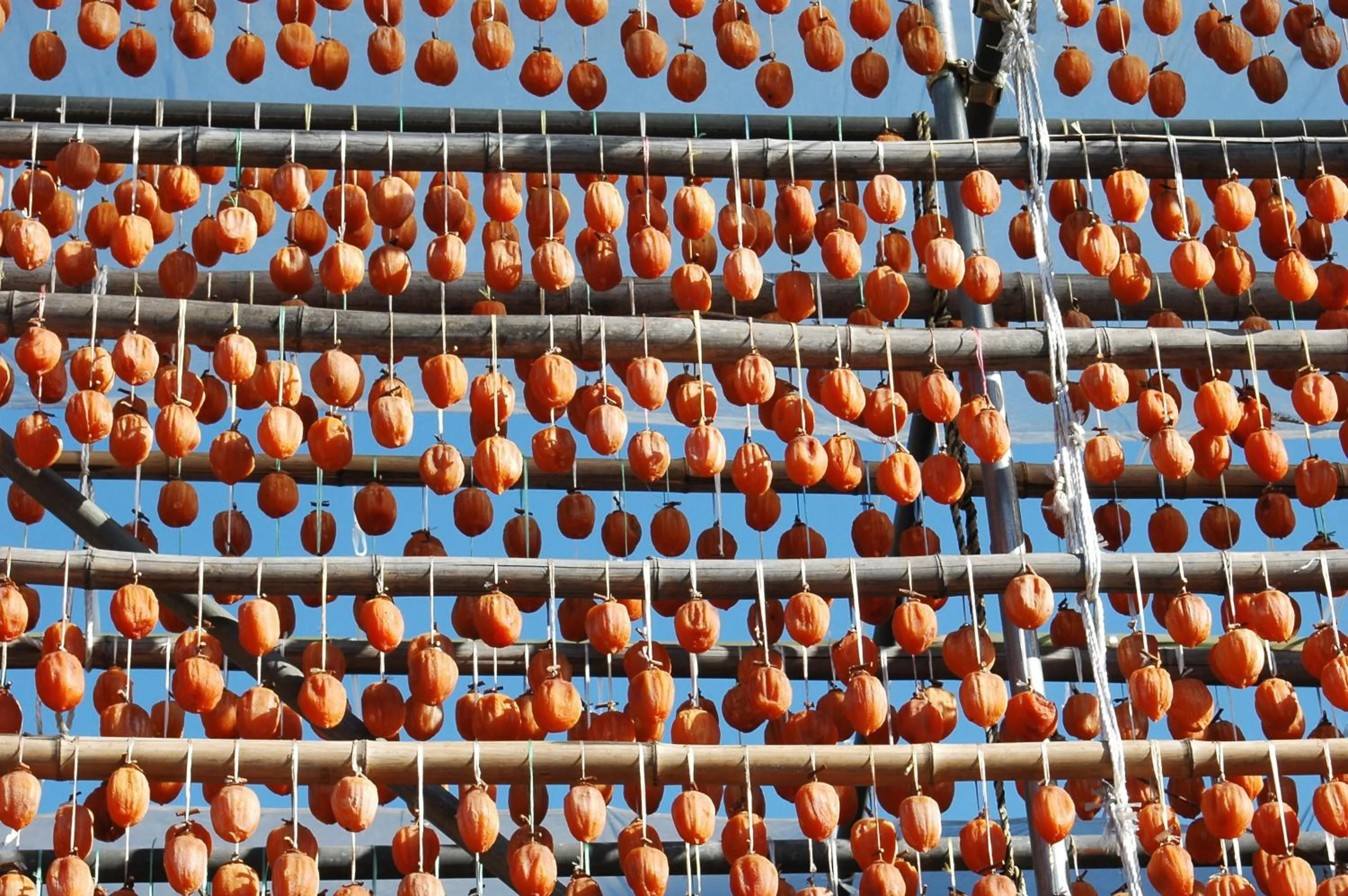 Off site in Hotel Hatta