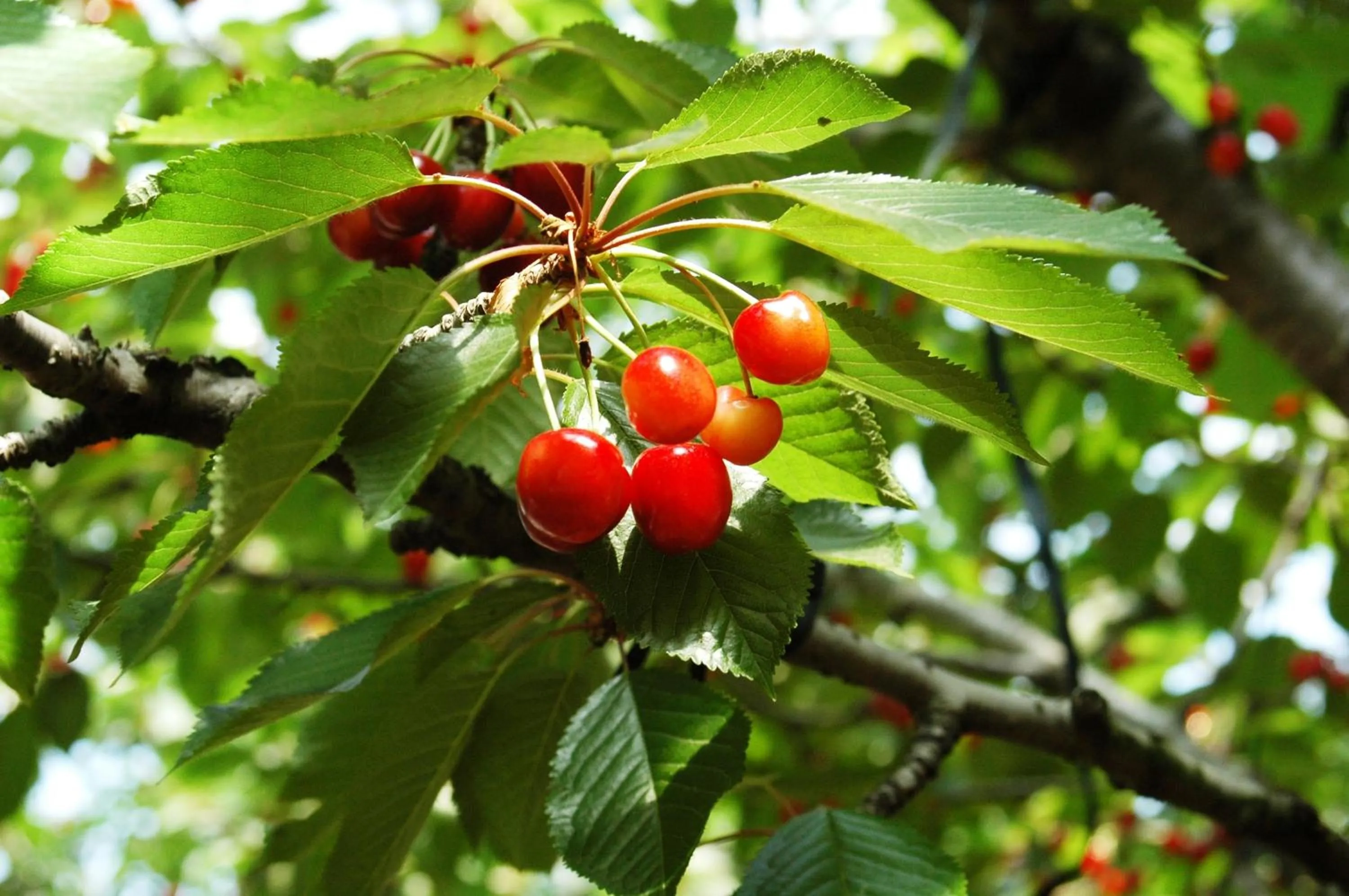 Off site in Hotel Hatta