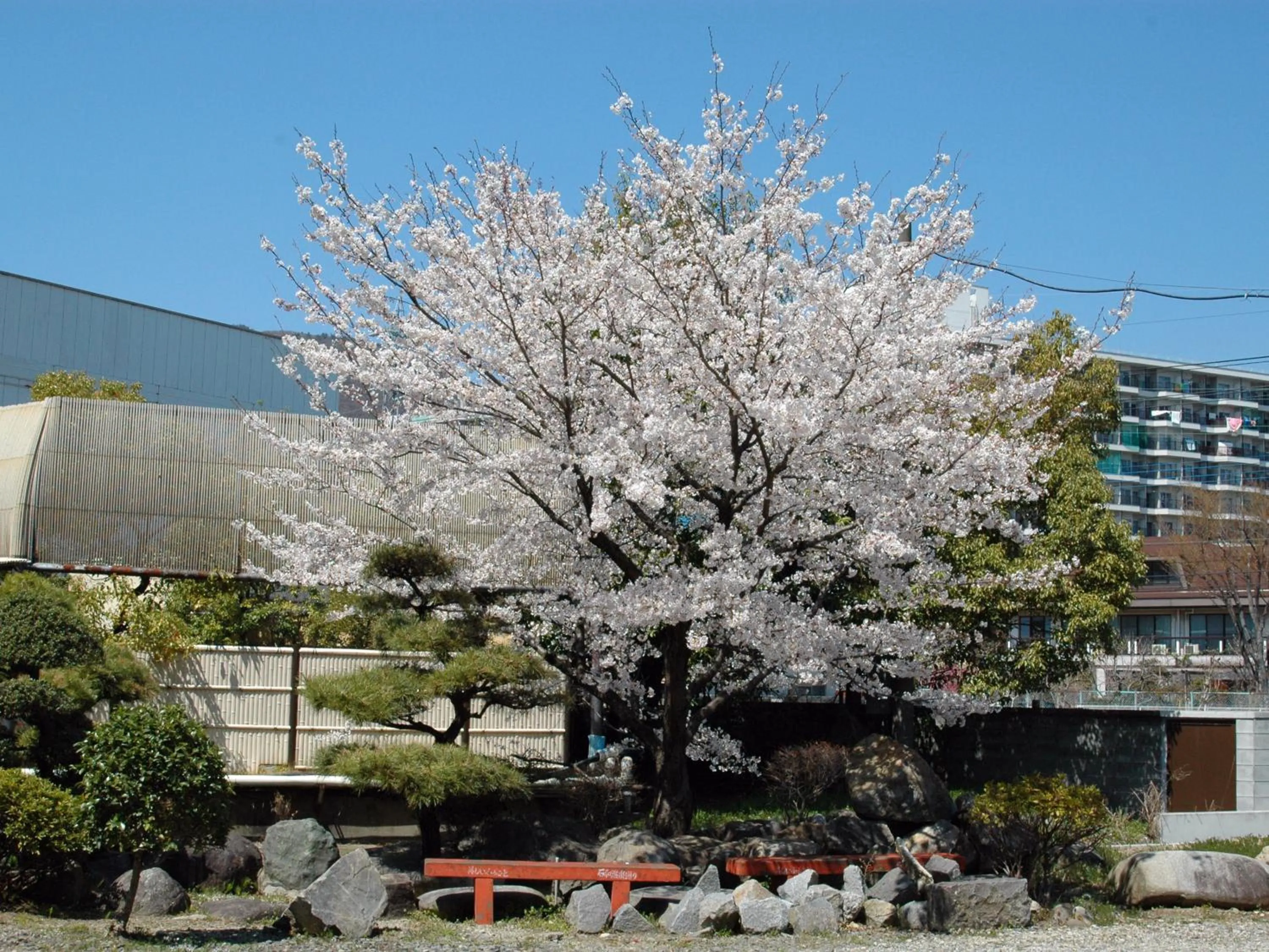 Spring in Hotel Hatta