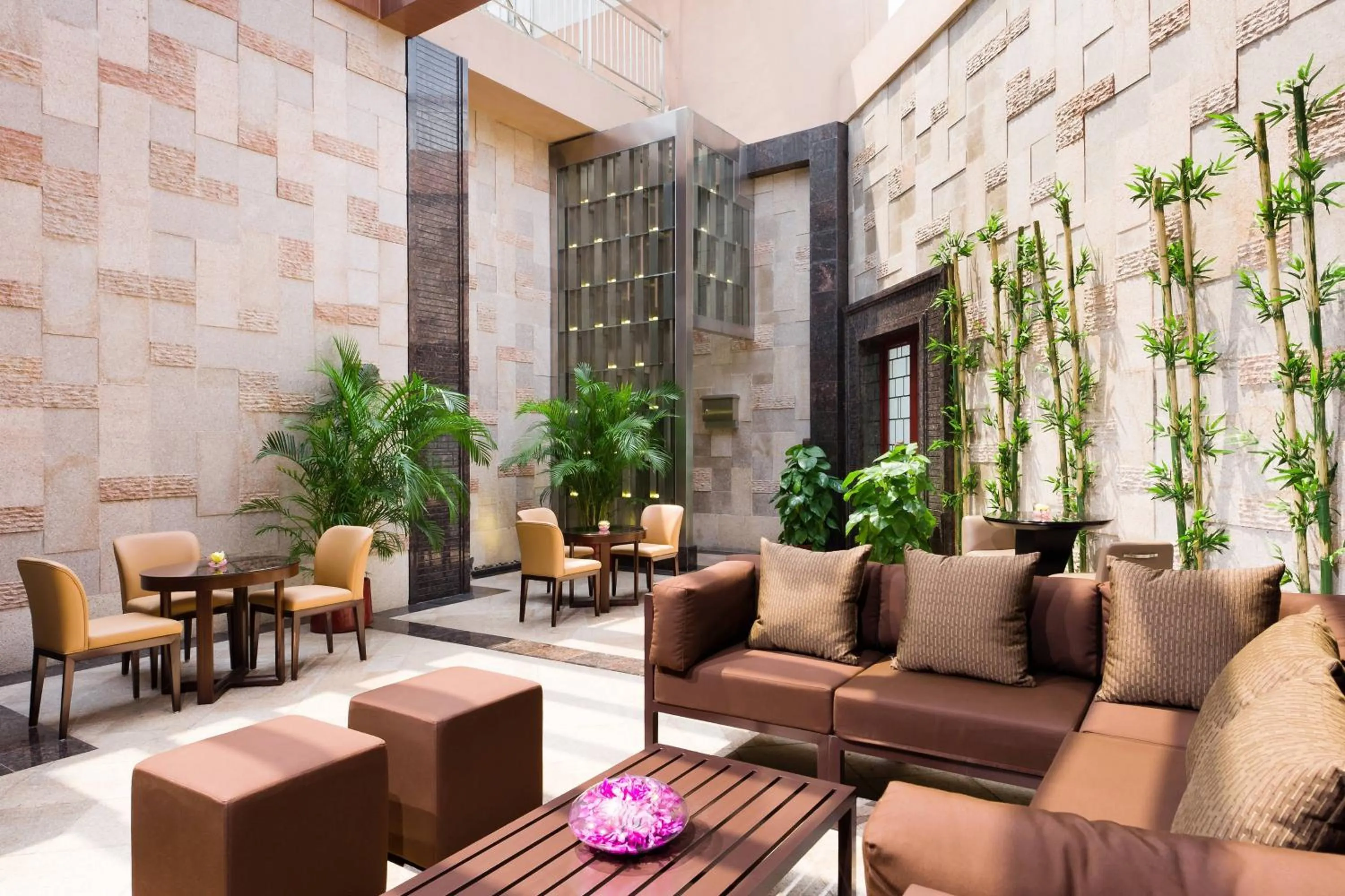 Restaurant/places to eat in Sheraton Guangzhou Hotel