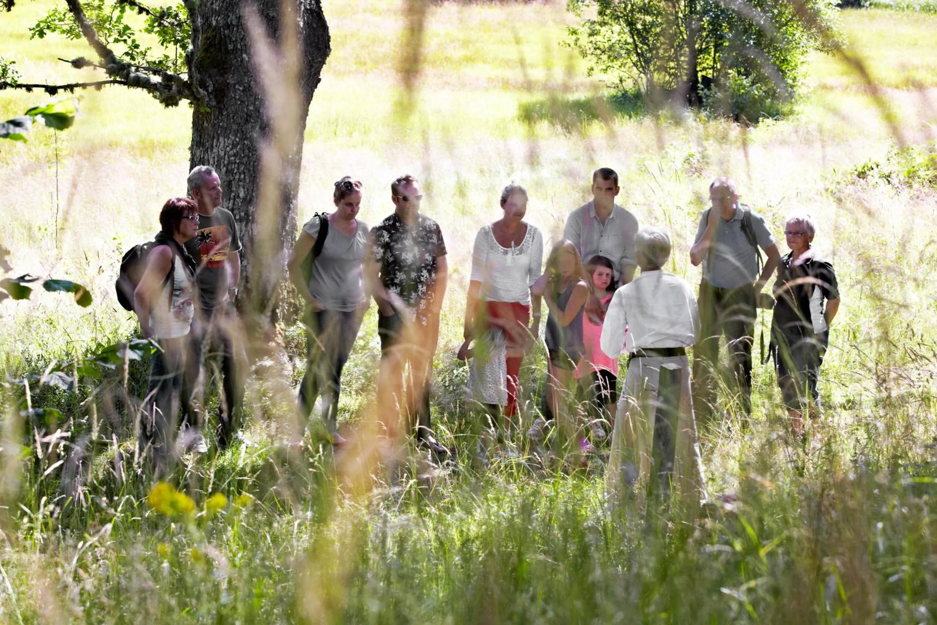 Hiking in STF Korrö Gårdshotell