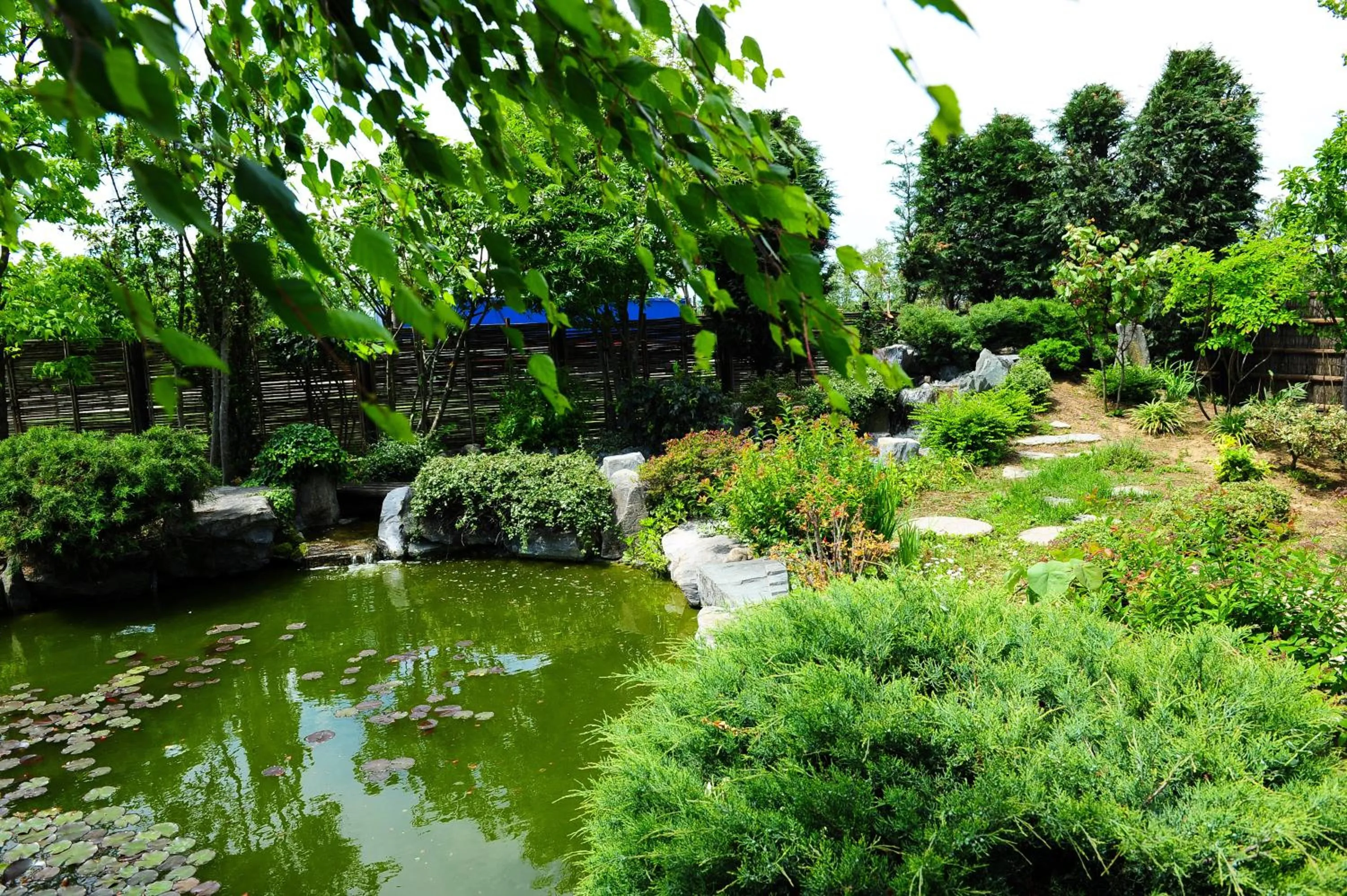 View (from property/room) in Il Carrettino Country Hotel