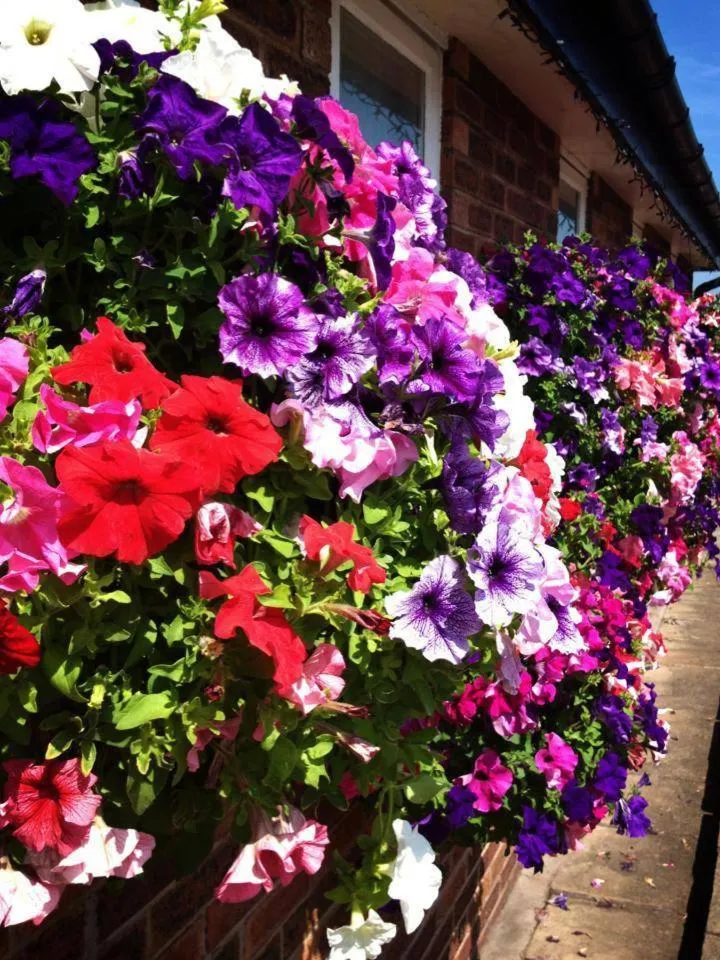 Balcony/Terrace in The Waverley Hotel