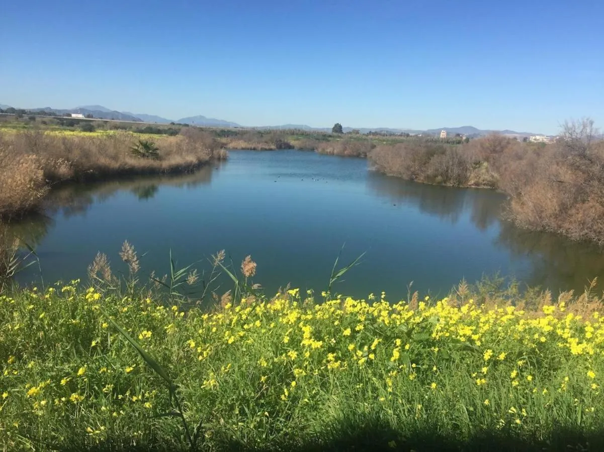 Natural landscape in La Baraka de Guadalmar B&B Aeropuerto