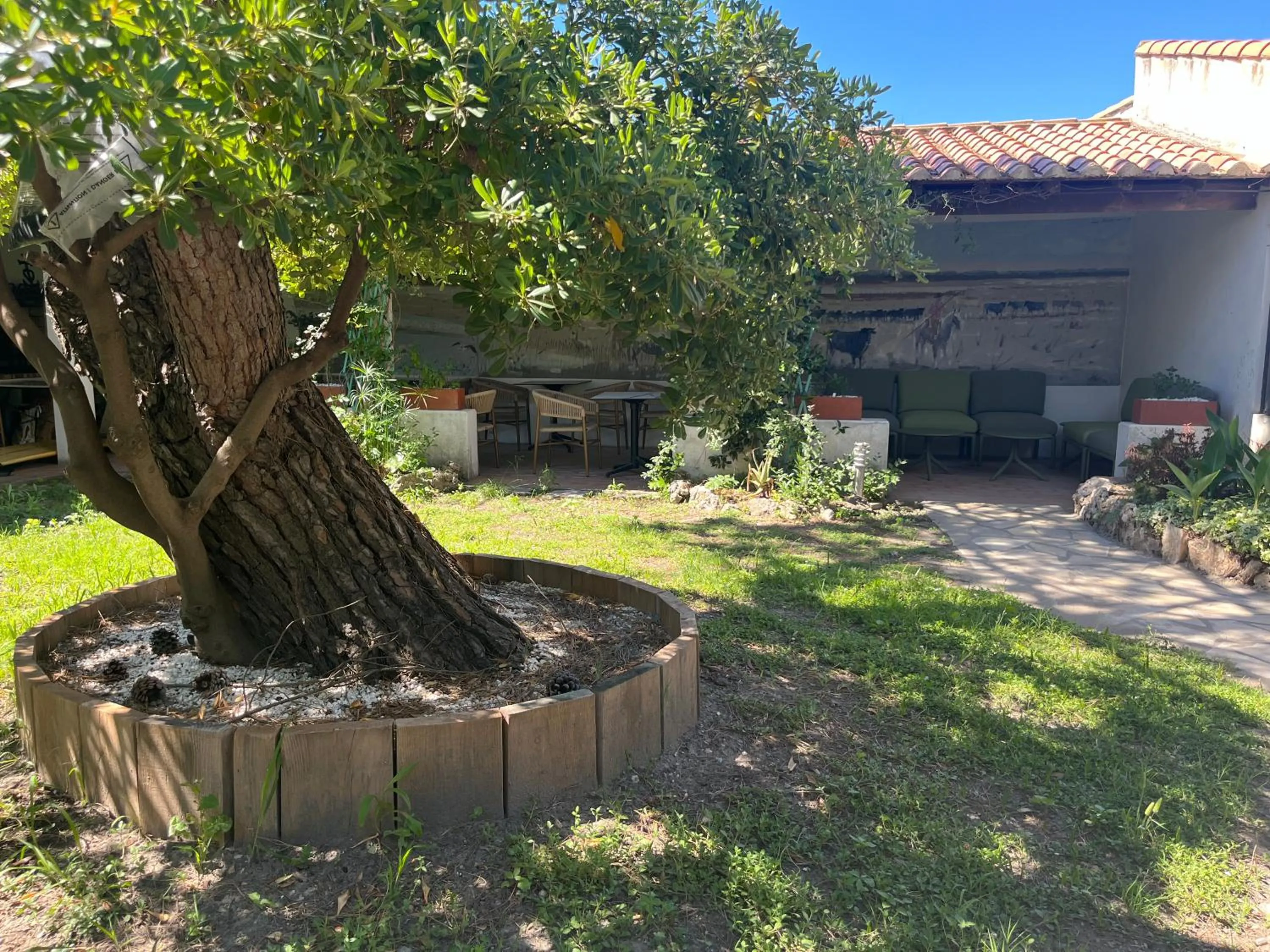 Garden in Hôtel Le Mirage
