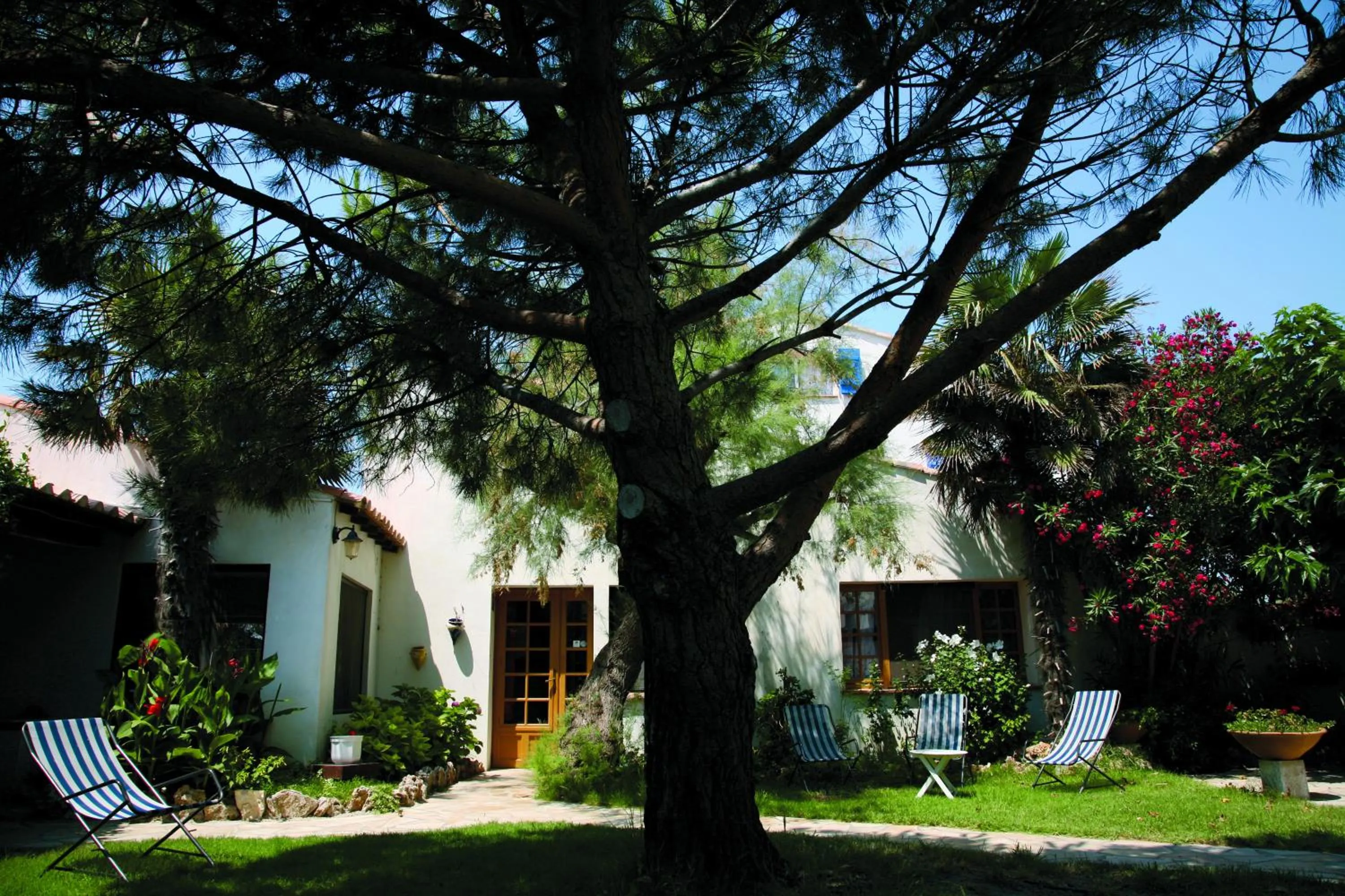 Garden in Hôtel Le Mirage