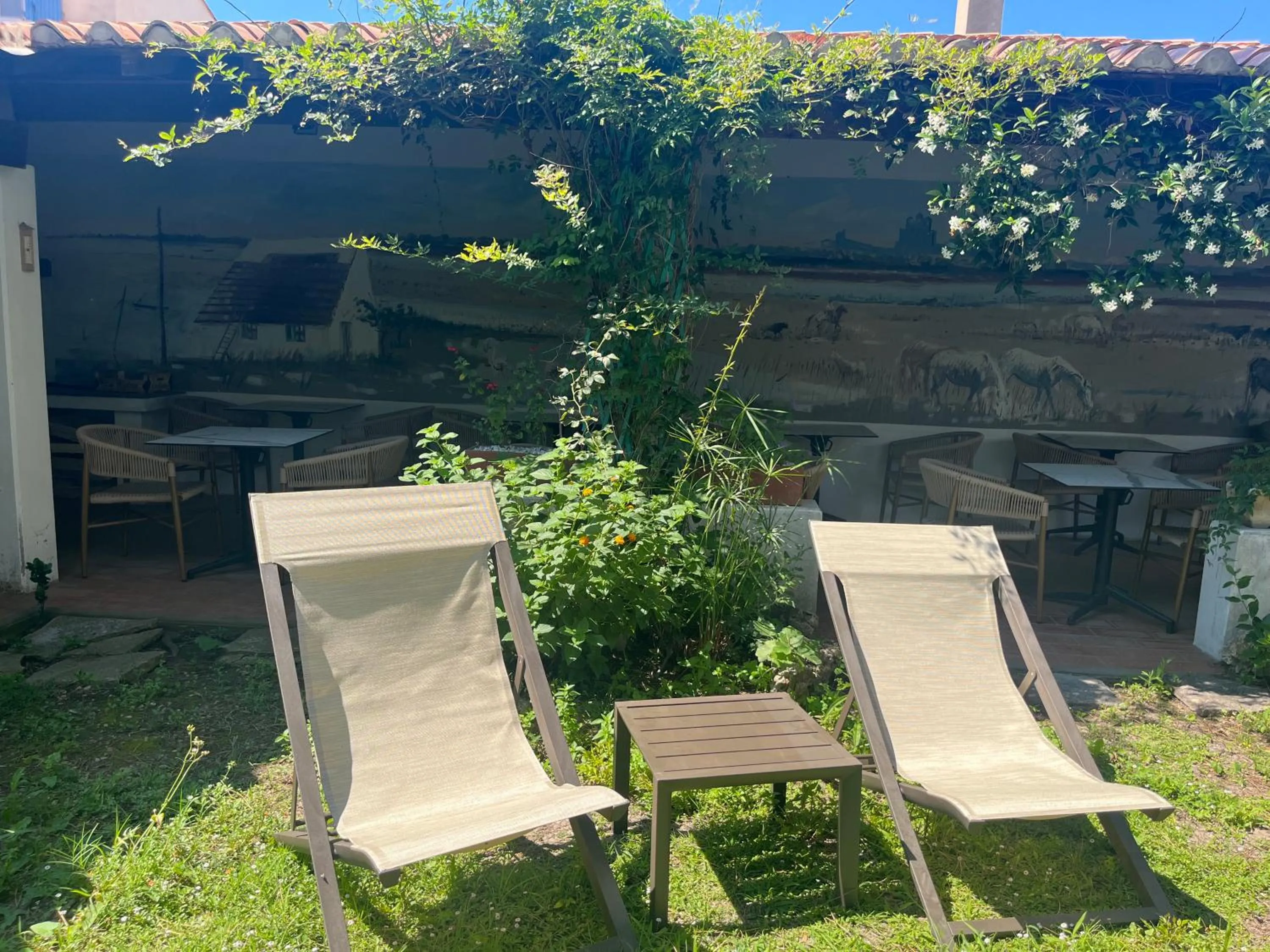Garden in Hôtel Le Mirage