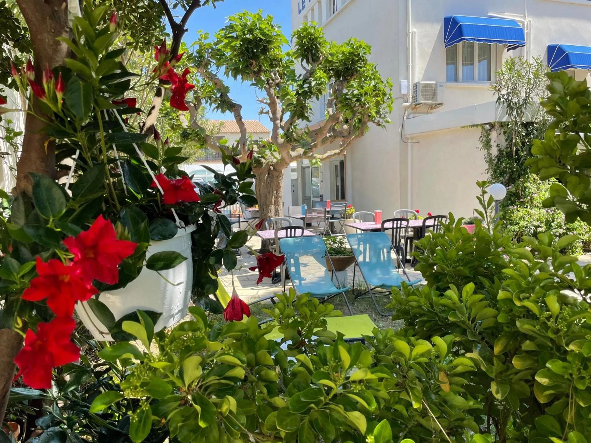 Garden in Hôtel Le Mirage