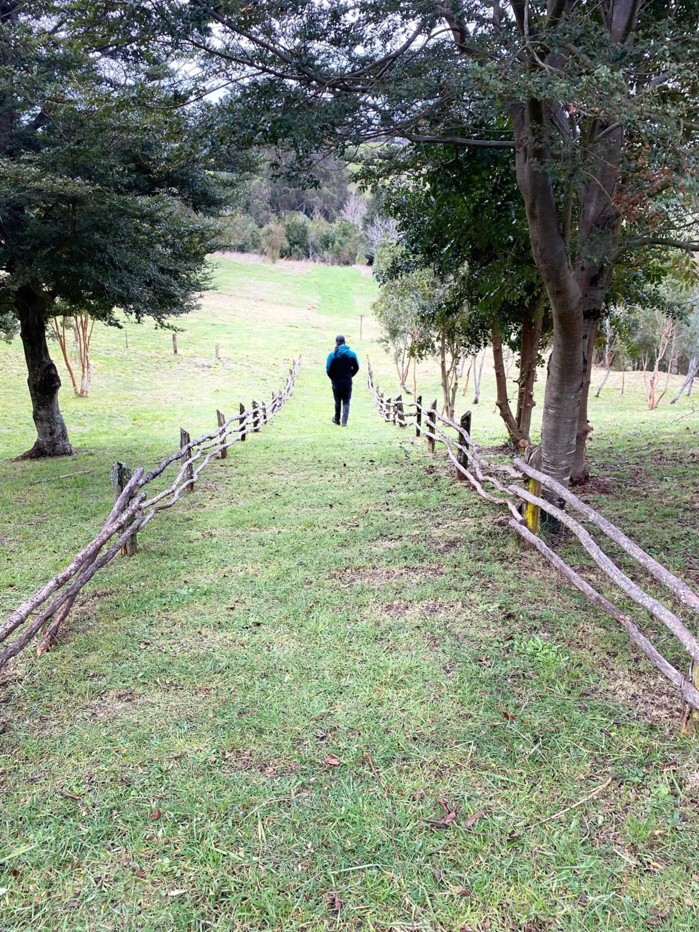 Natural landscape in Hotel Parque Quilquico