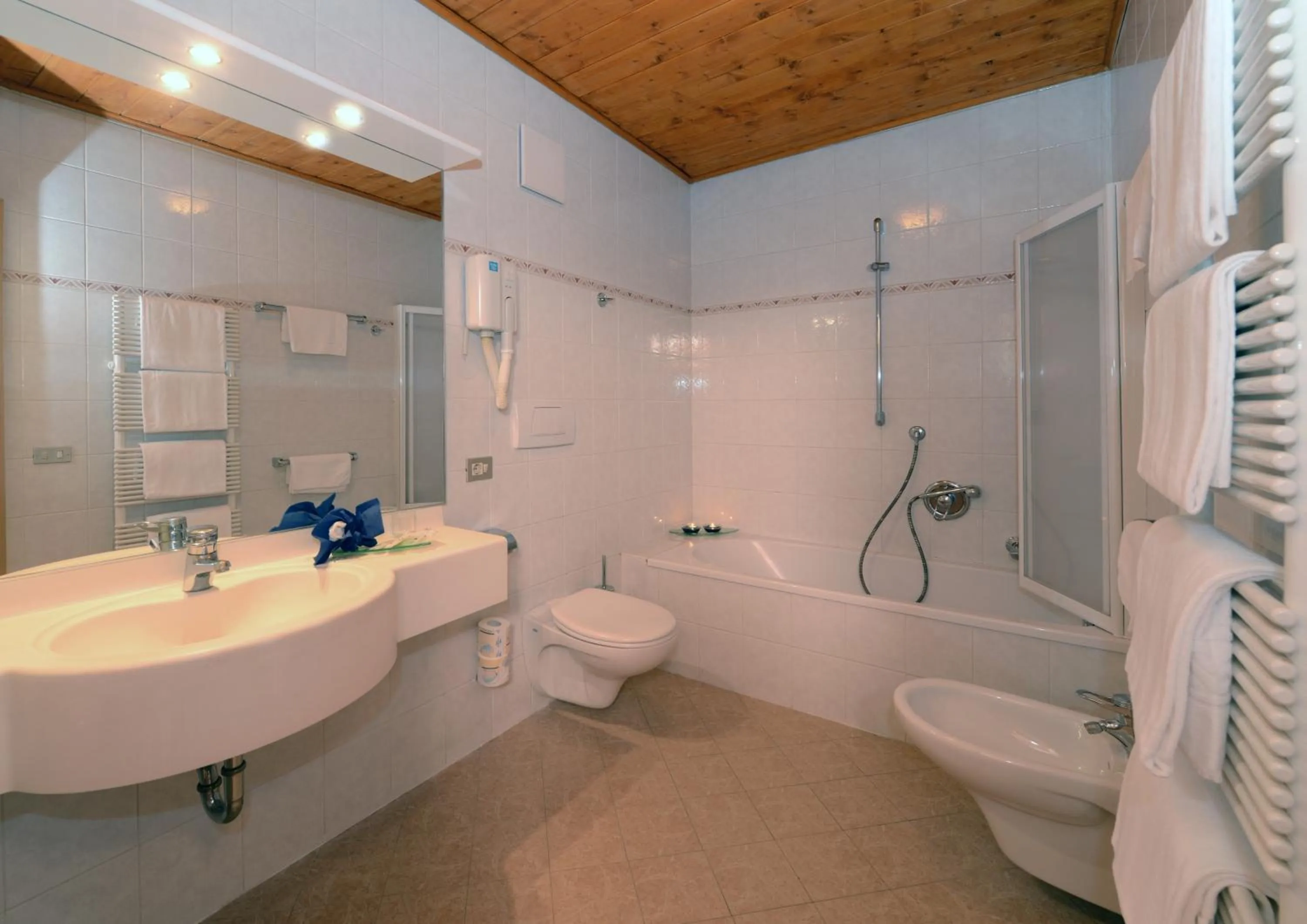 Shower in Hotel Casa Alpina - Alpin Haus