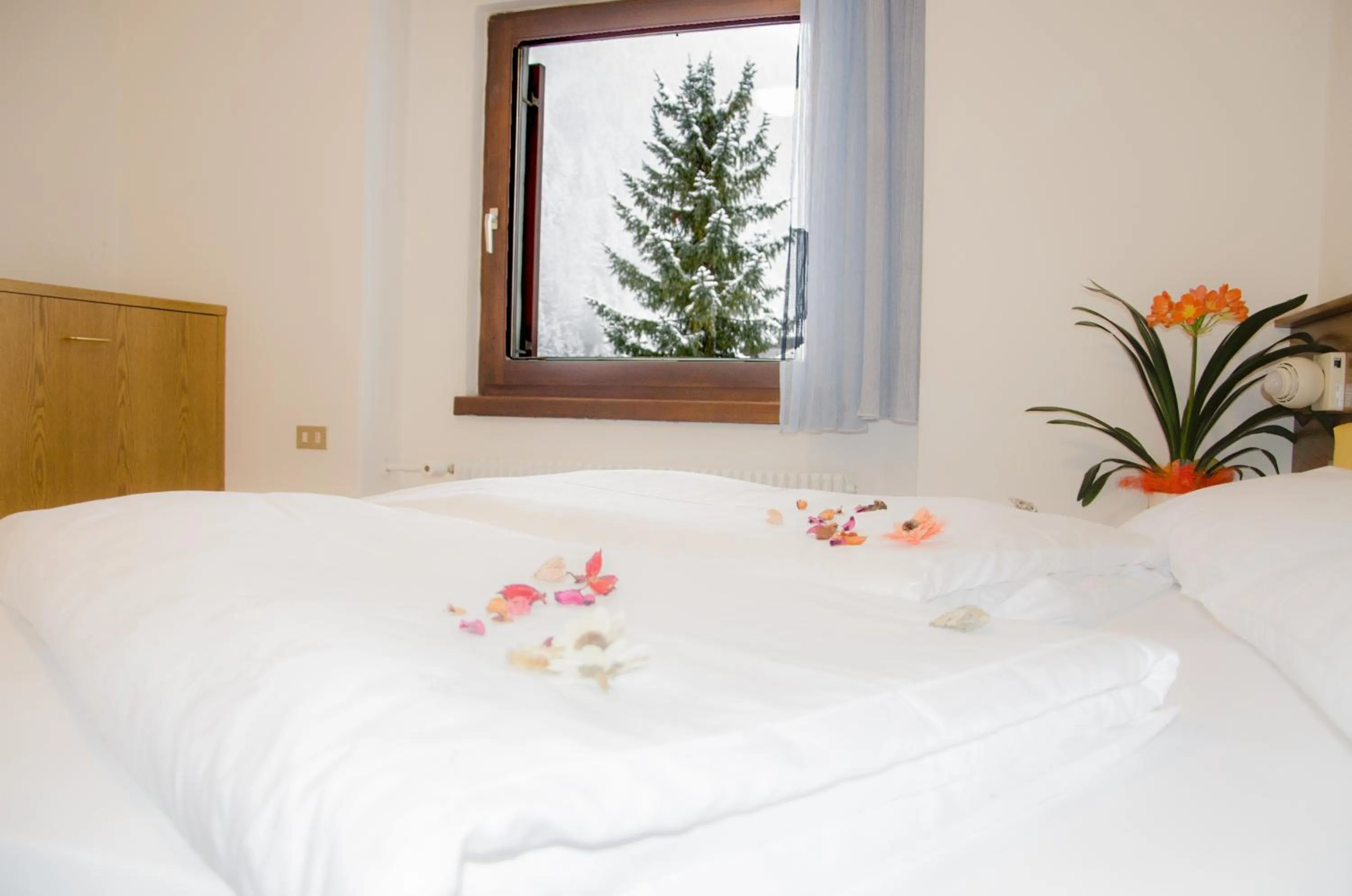 Decorative detail, Bed in Hotel Casa Alpina - Alpin Haus