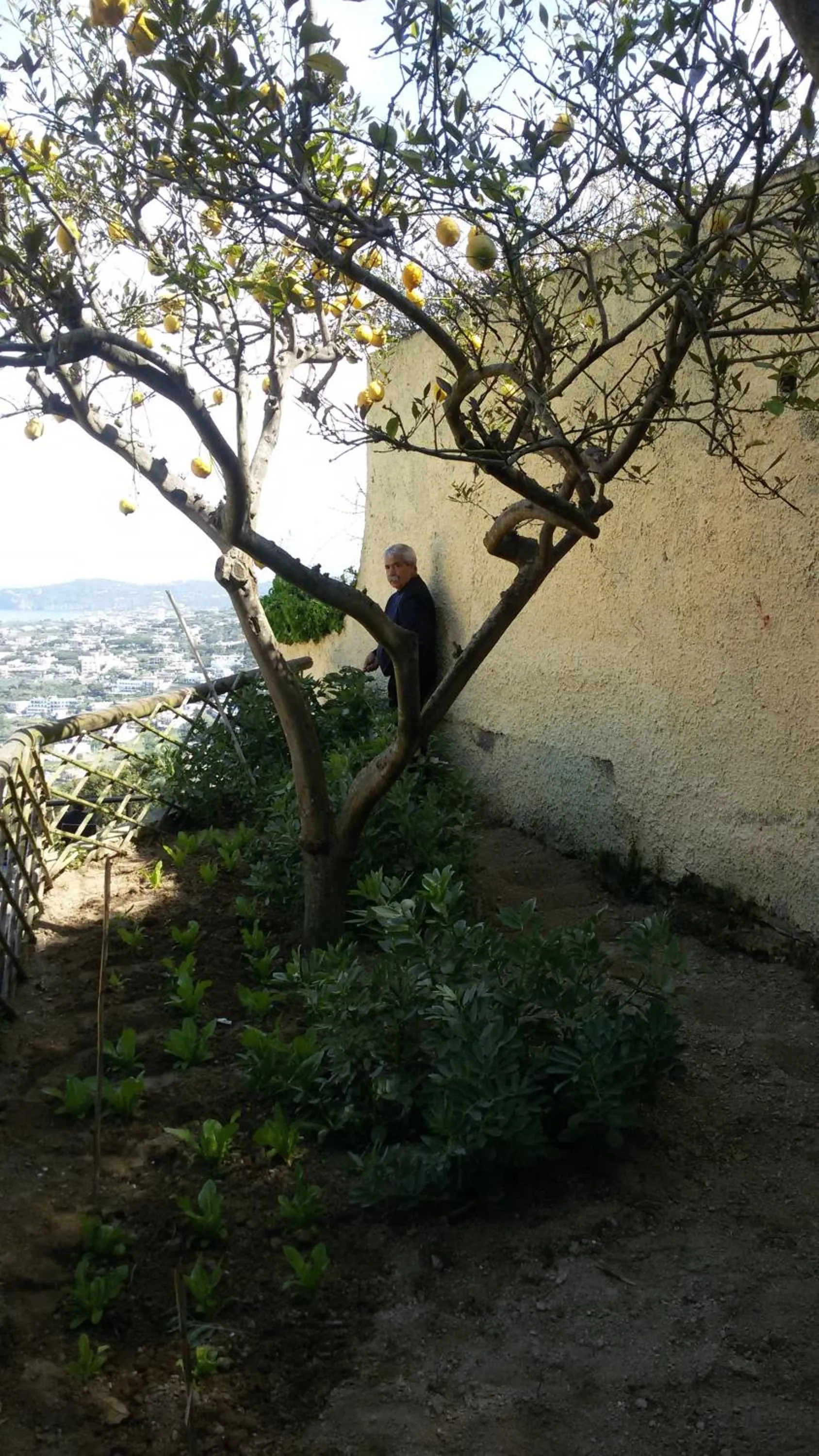 Day in Sweetposeidon