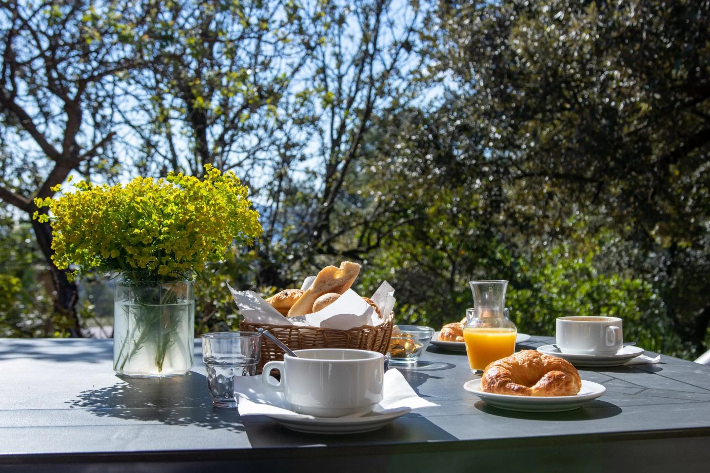 View (from property/room) in Les Arbousiers Village Hôtel Provençal