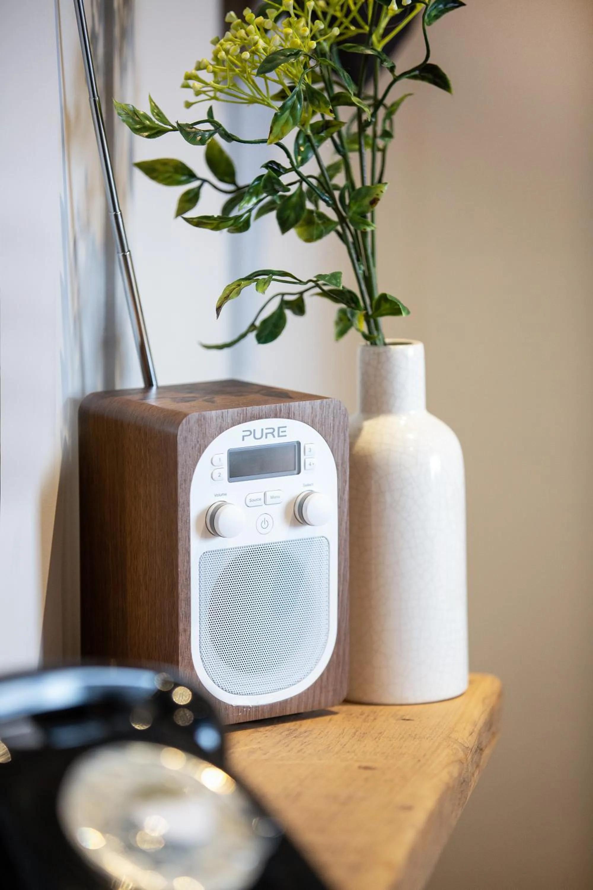 Decorative detail in The Pickled Parson of Sedgefield