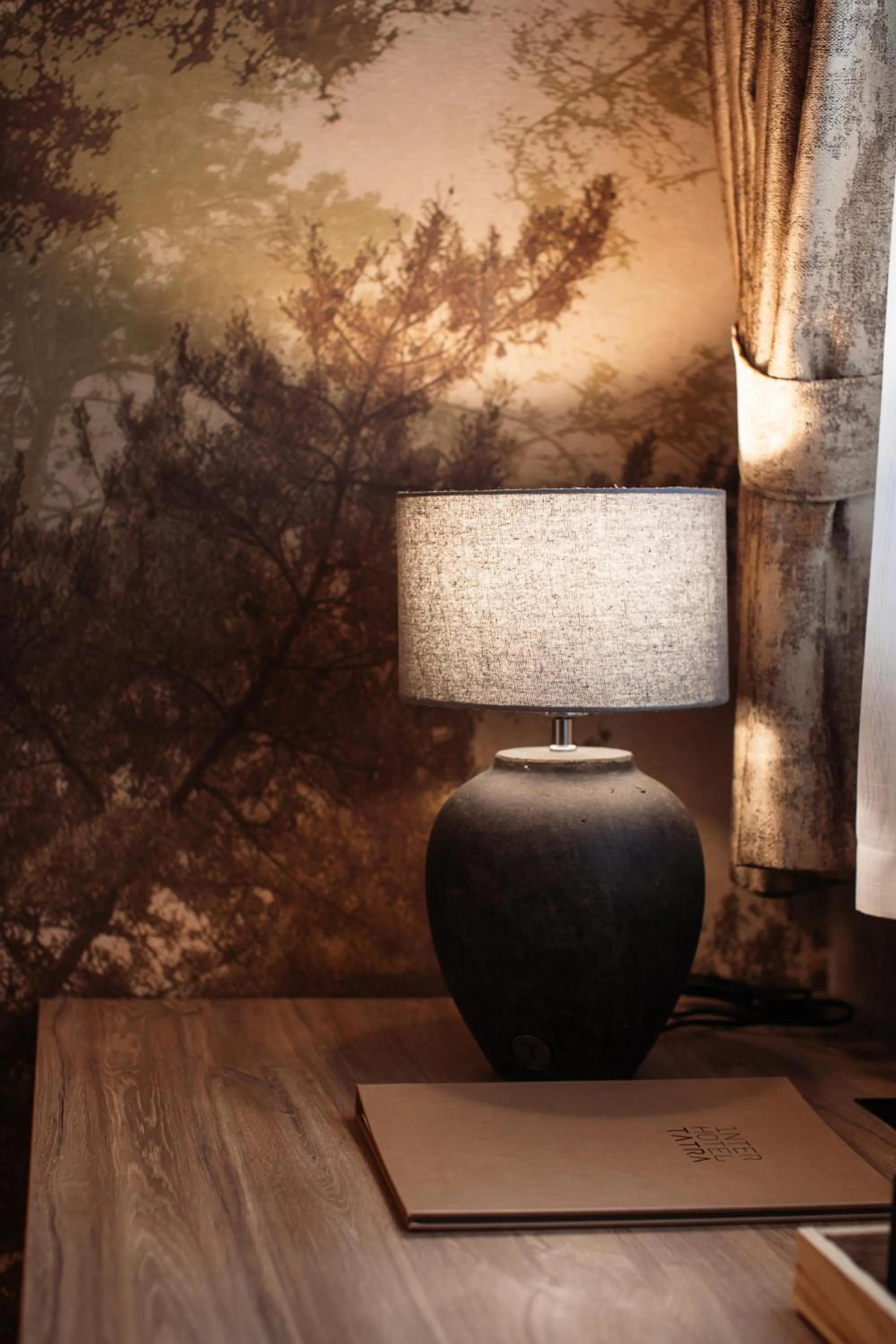 Photo of the whole room in Interhotel Tatra