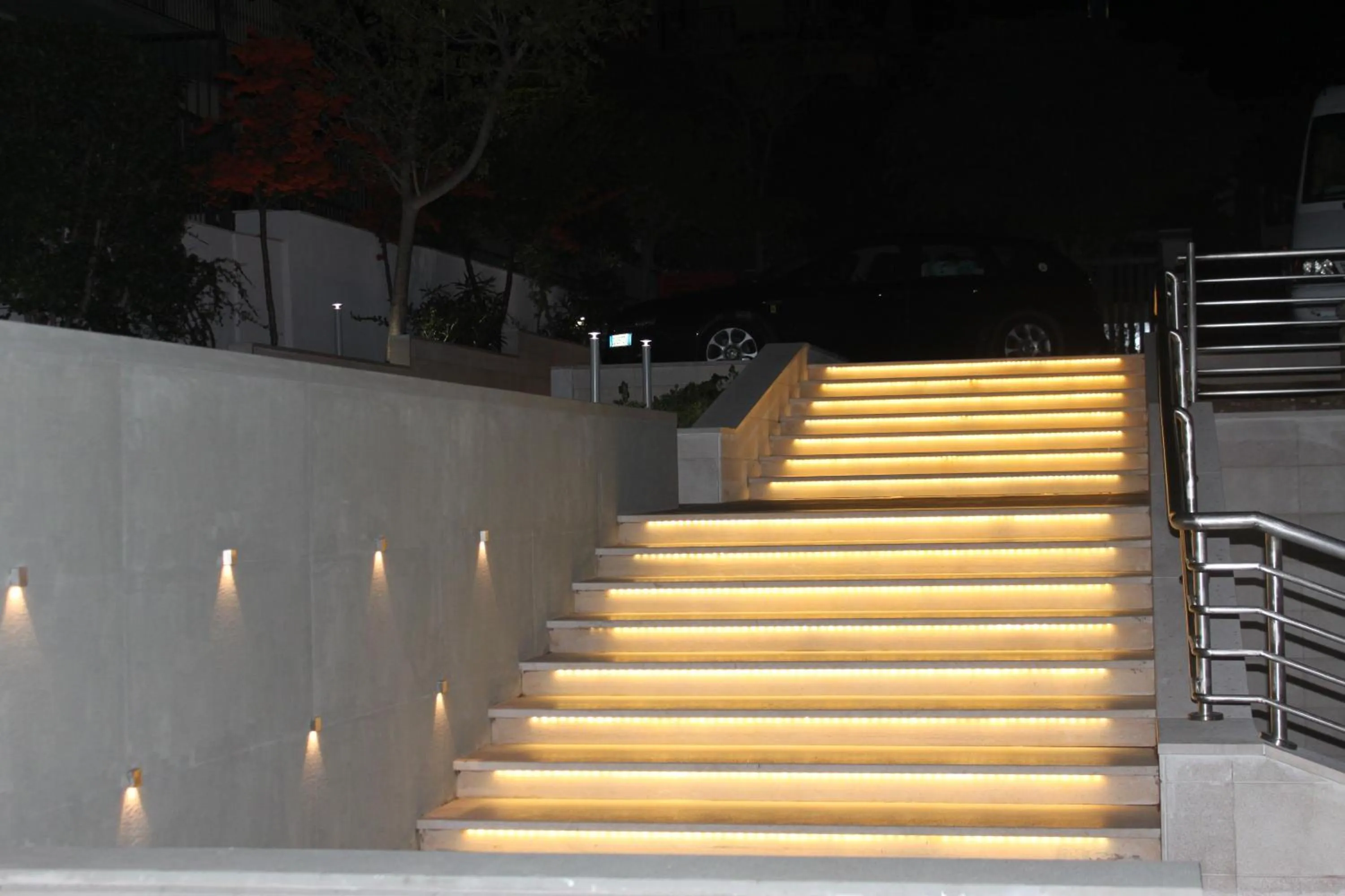Garden in Hotel Corona