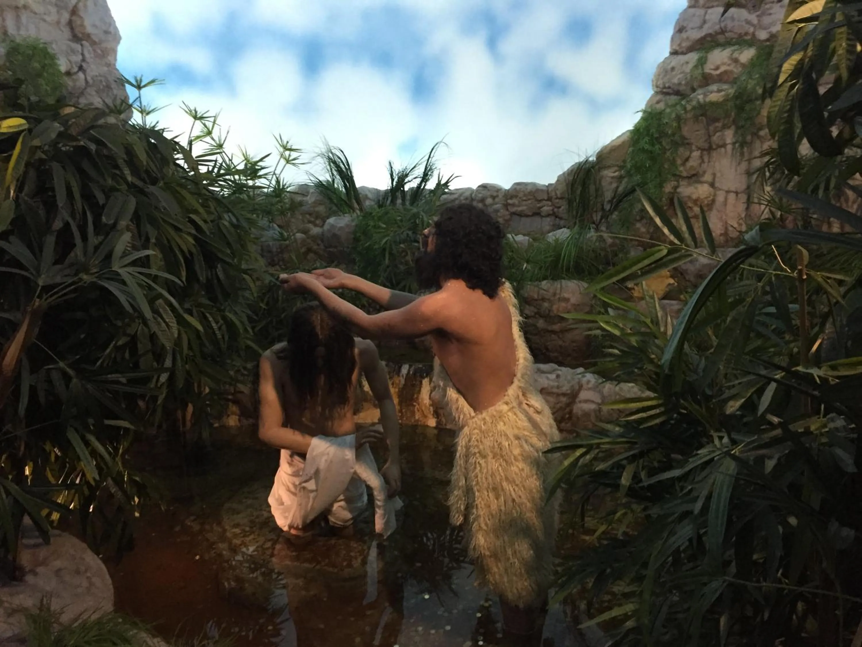 Natural landscape in Hotel Corona