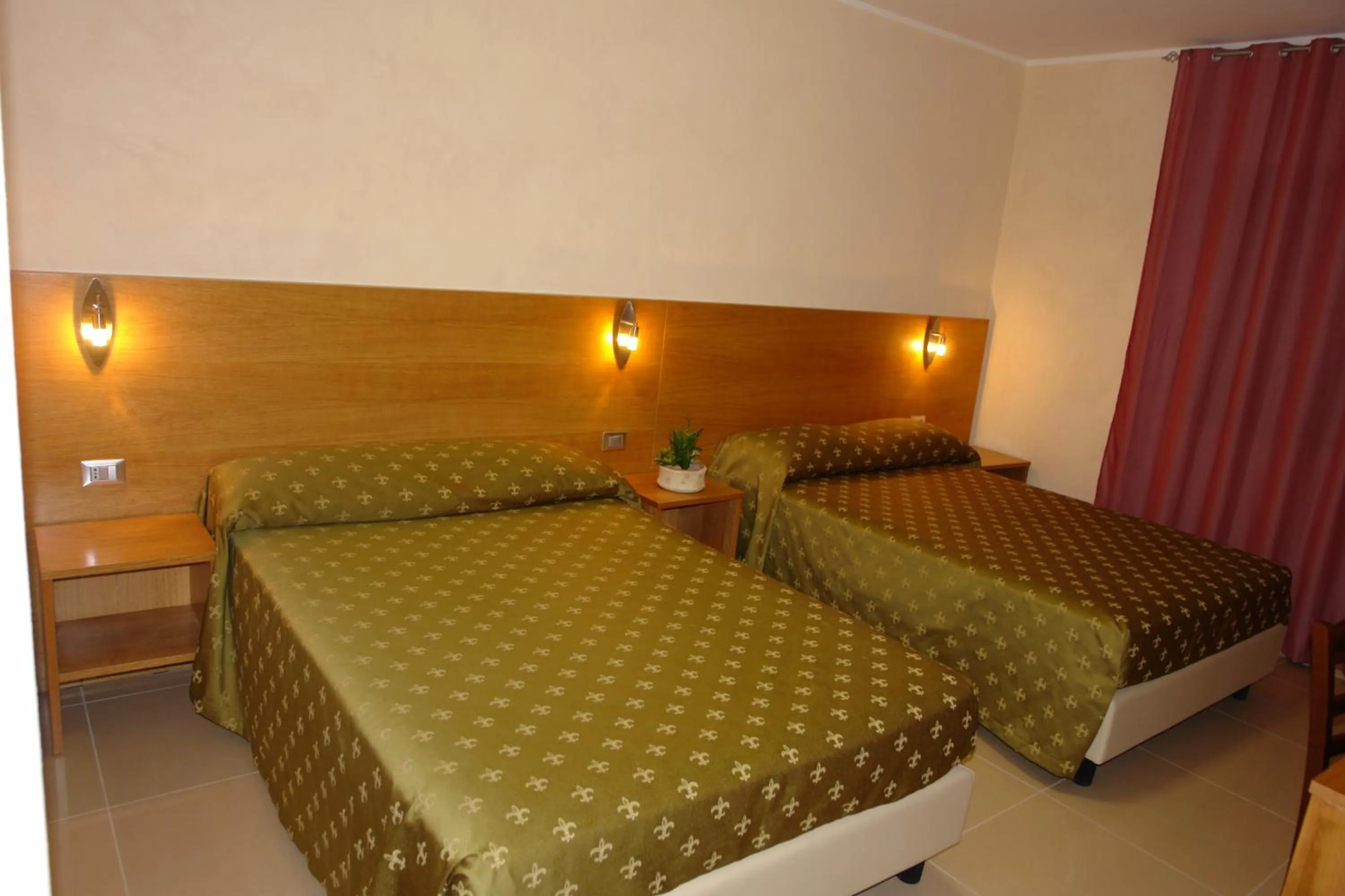 Photo of the whole room in Hotel Corona