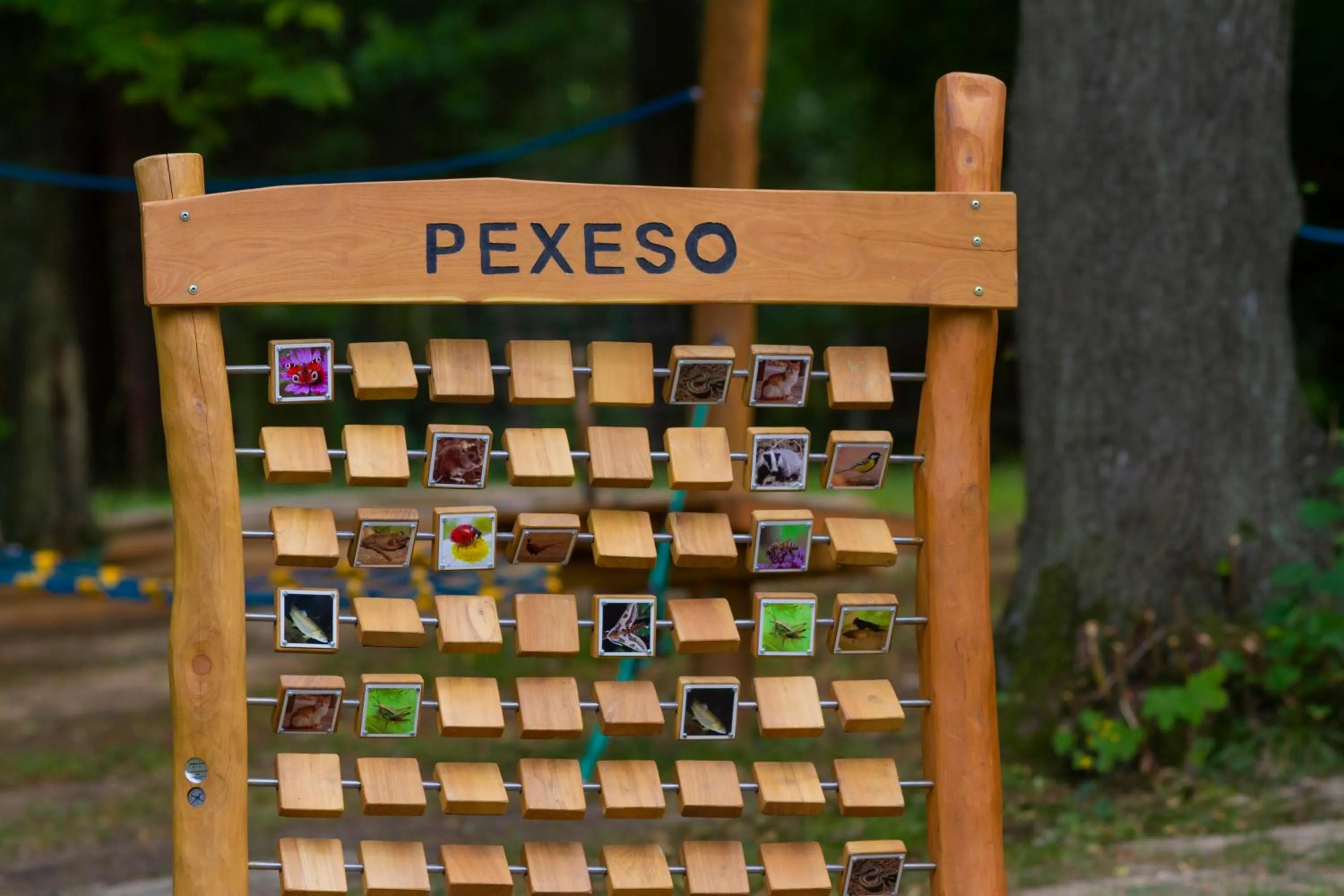 Children play ground in Spa Resort Libverda - Hotel Nový Dům