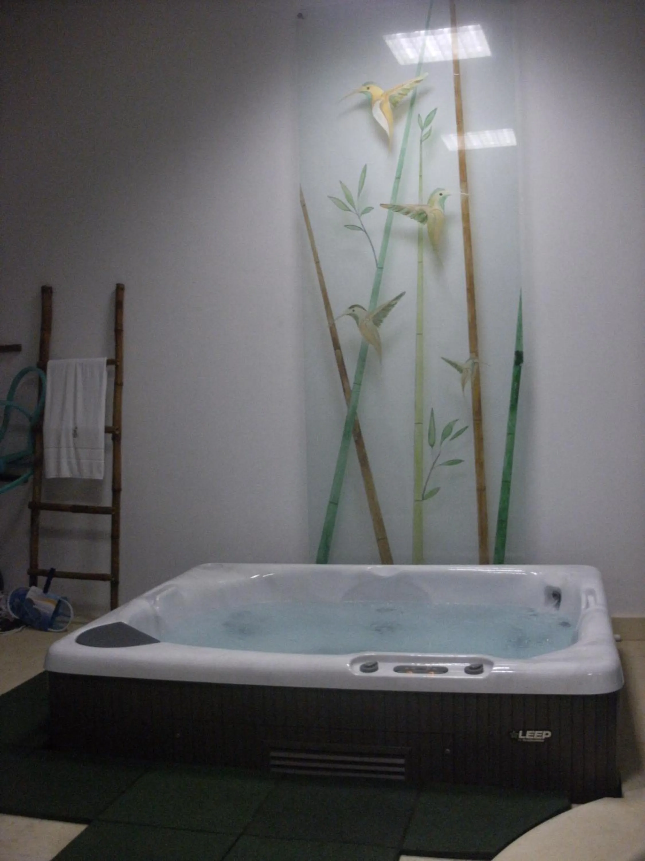 Spa and wellness centre/facilities in Cantinho das Buganvilias AT****