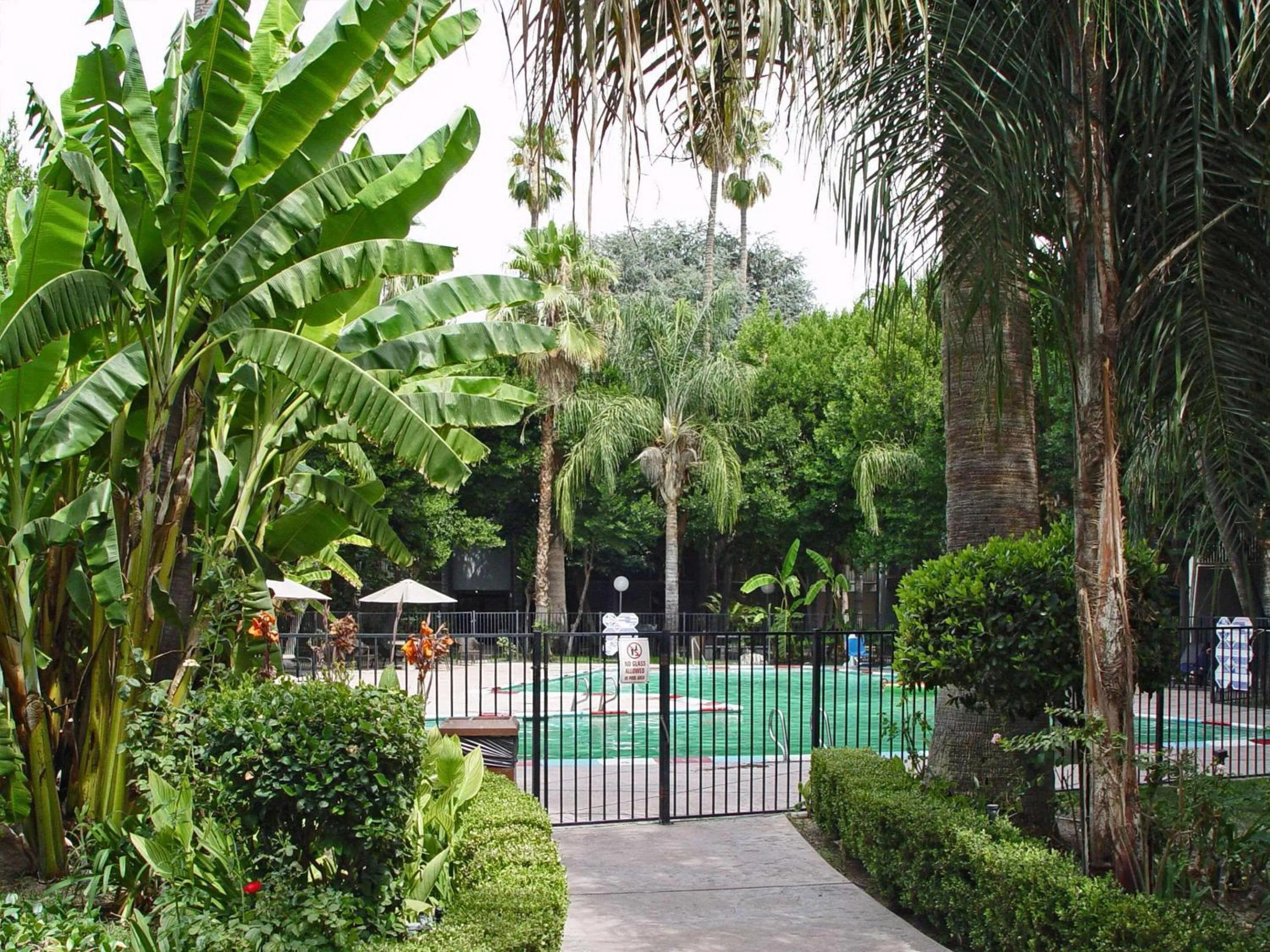 Garden in Duniya Hotel